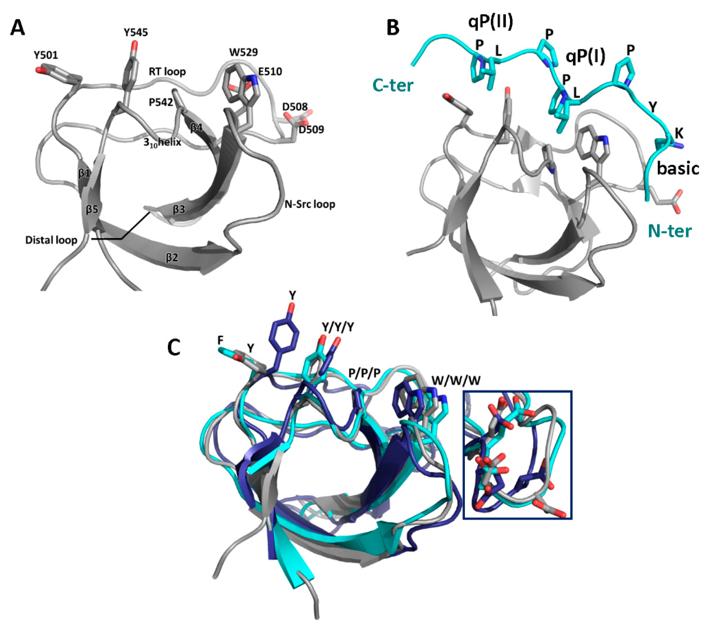 Biomolecules 10 01084 g004