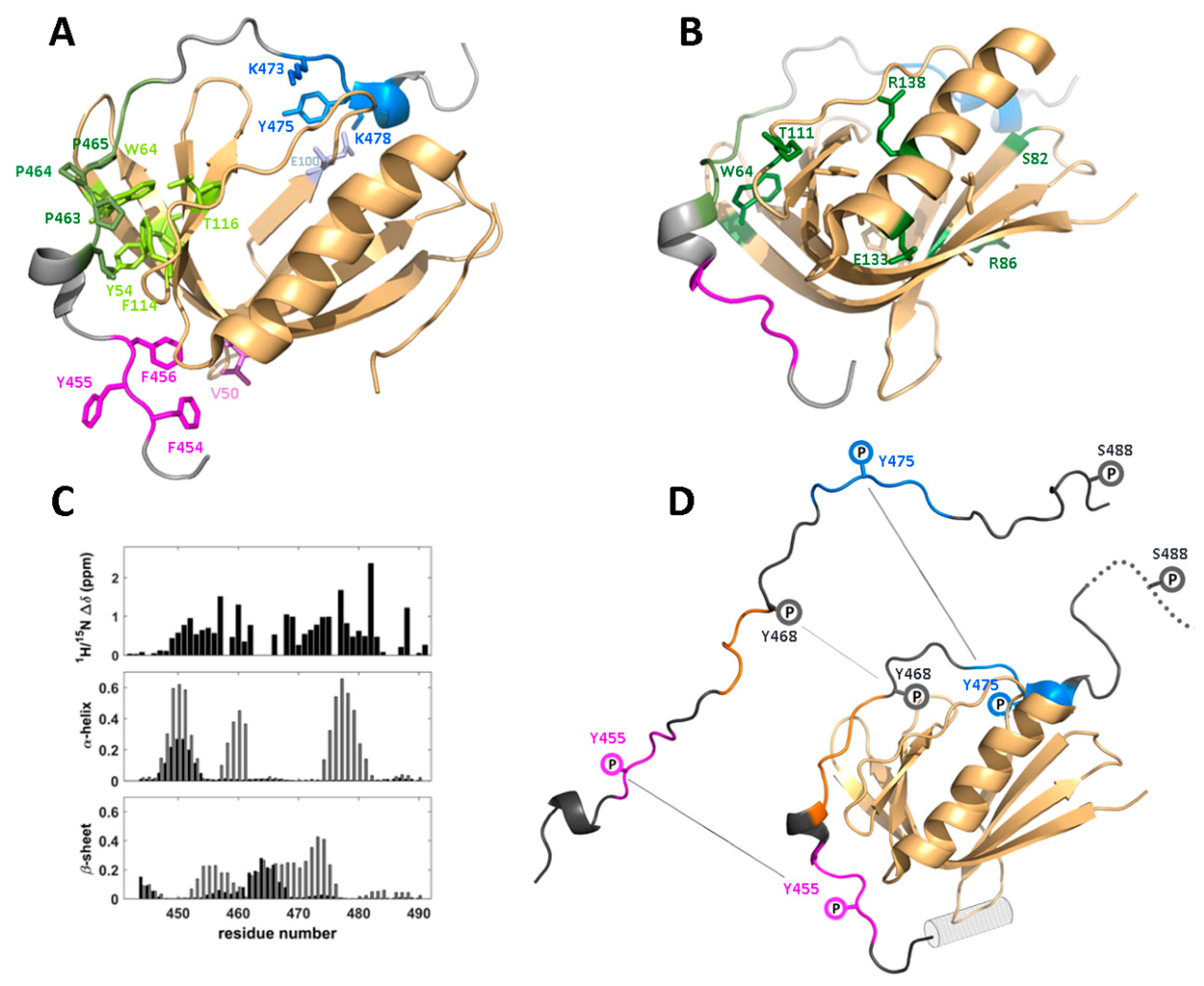 Biomolecules 10 01084 g005