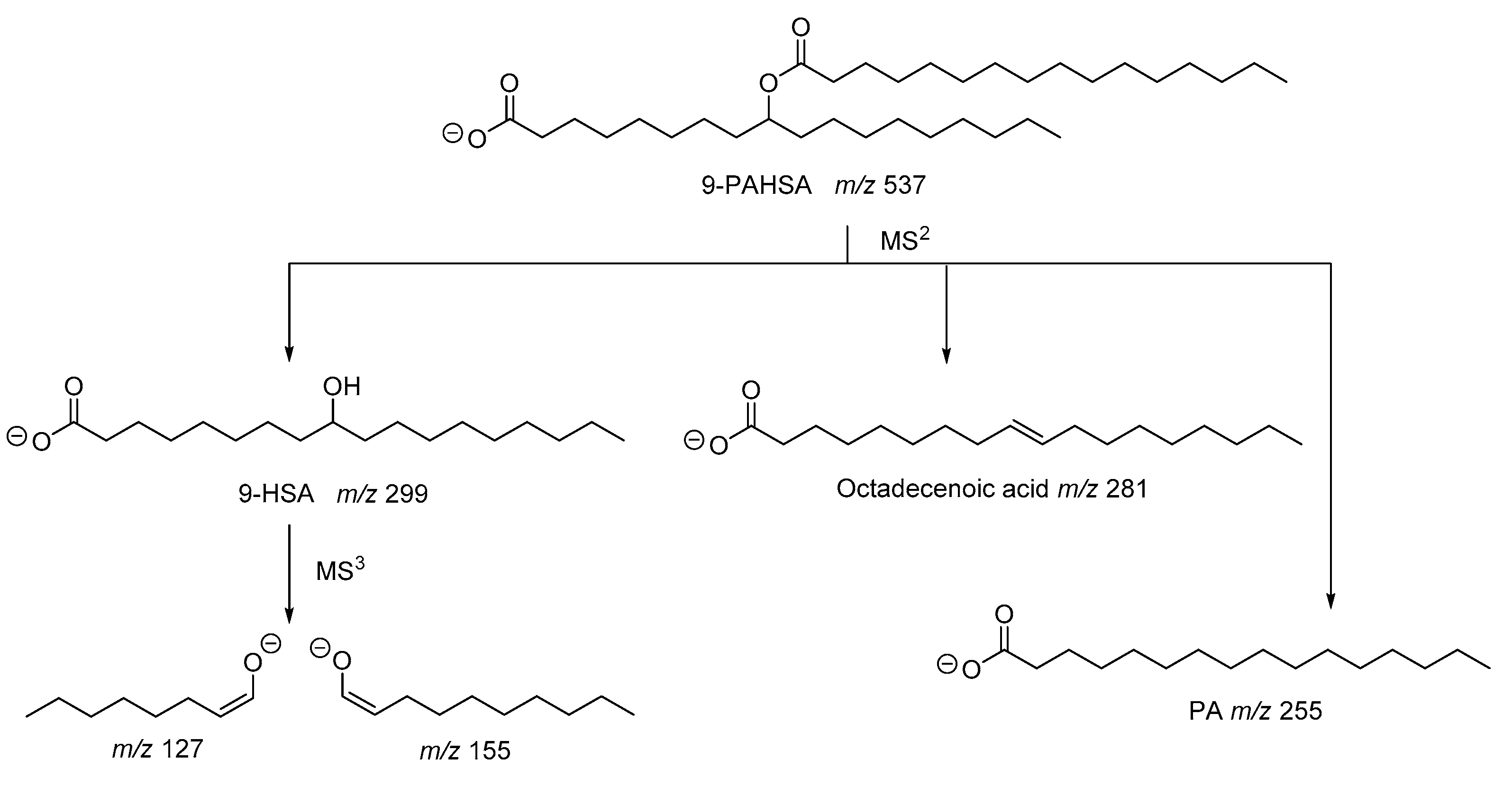 Biomolecules 10 01092 g003