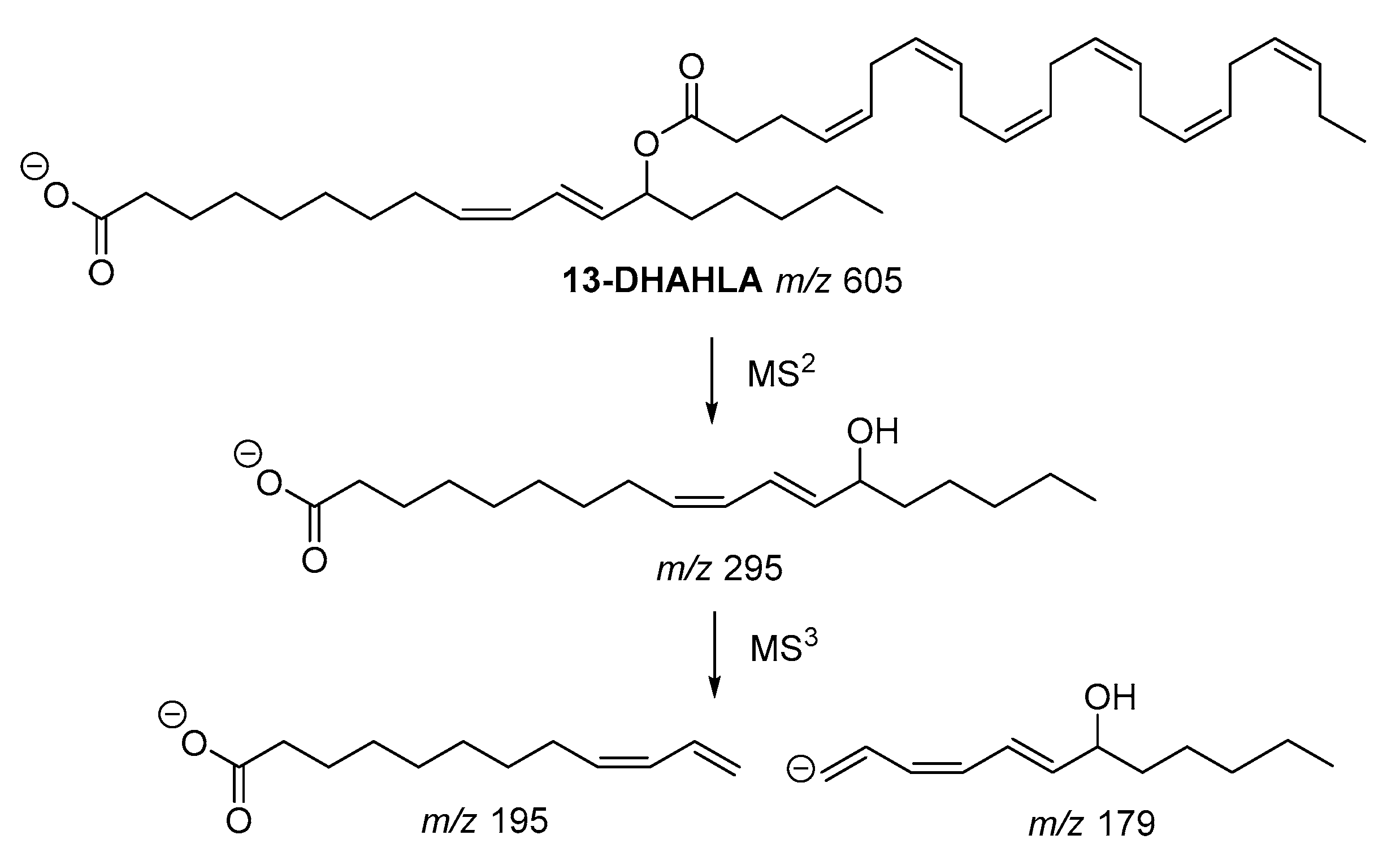 Biomolecules 10 01092 g004