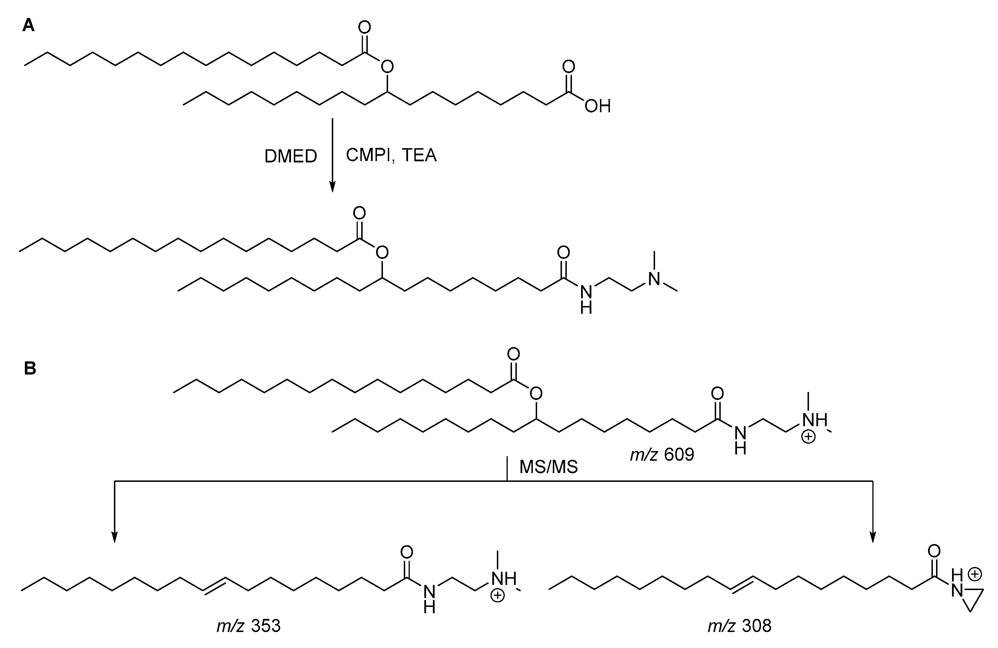Biomolecules 10 01092 g005