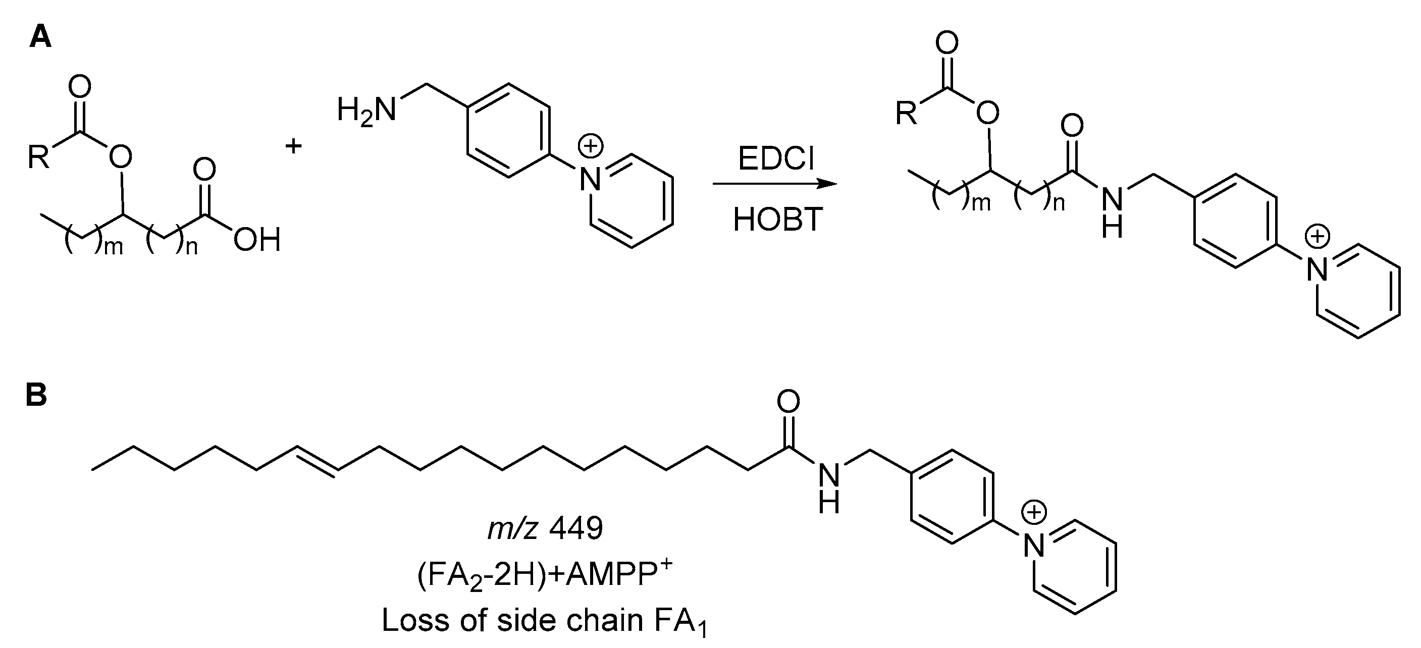 Biomolecules 10 01092 g006