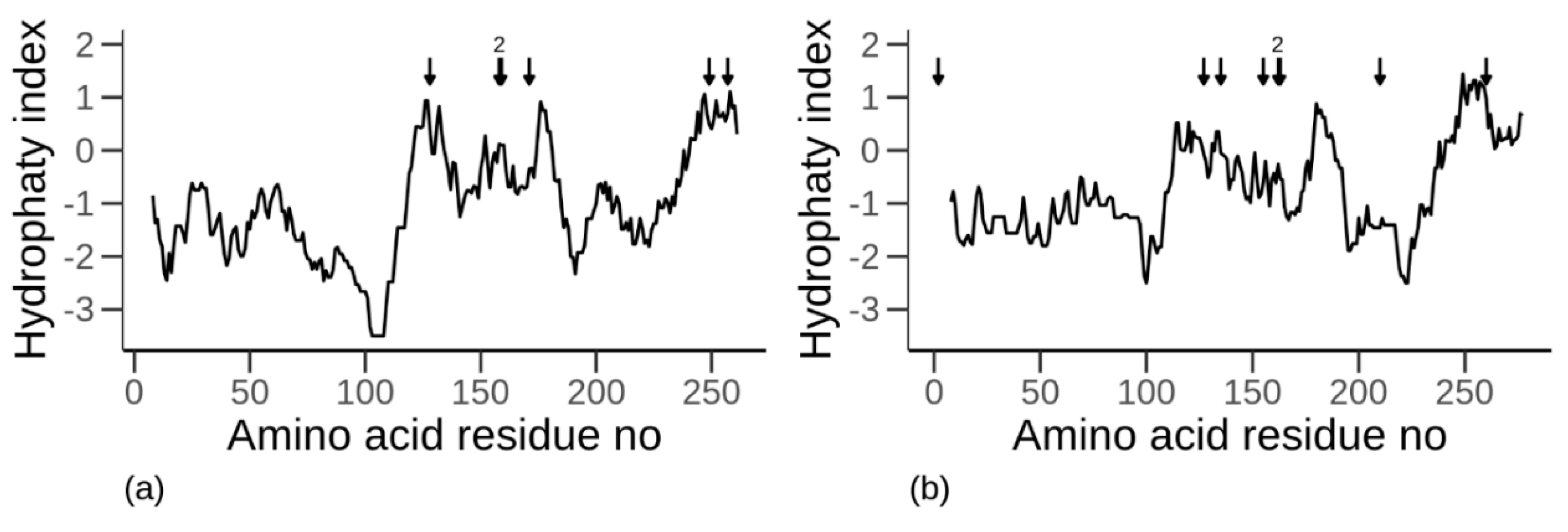 Biomolecules 10 01095 g002 Biomolecules 10 01095 g002