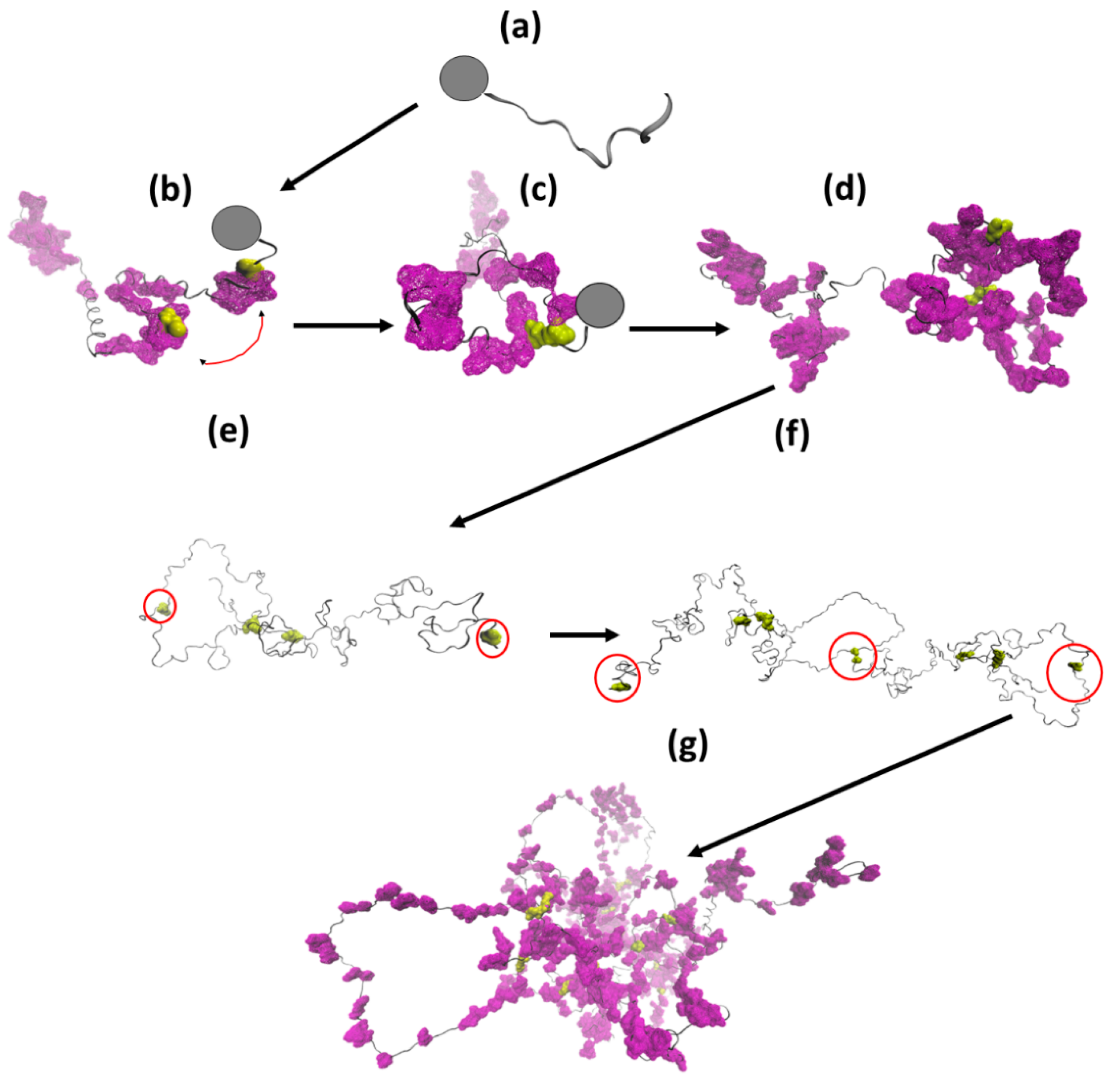 Biomolecules 10 01095 g009 Biomolecules 10 01095 g009