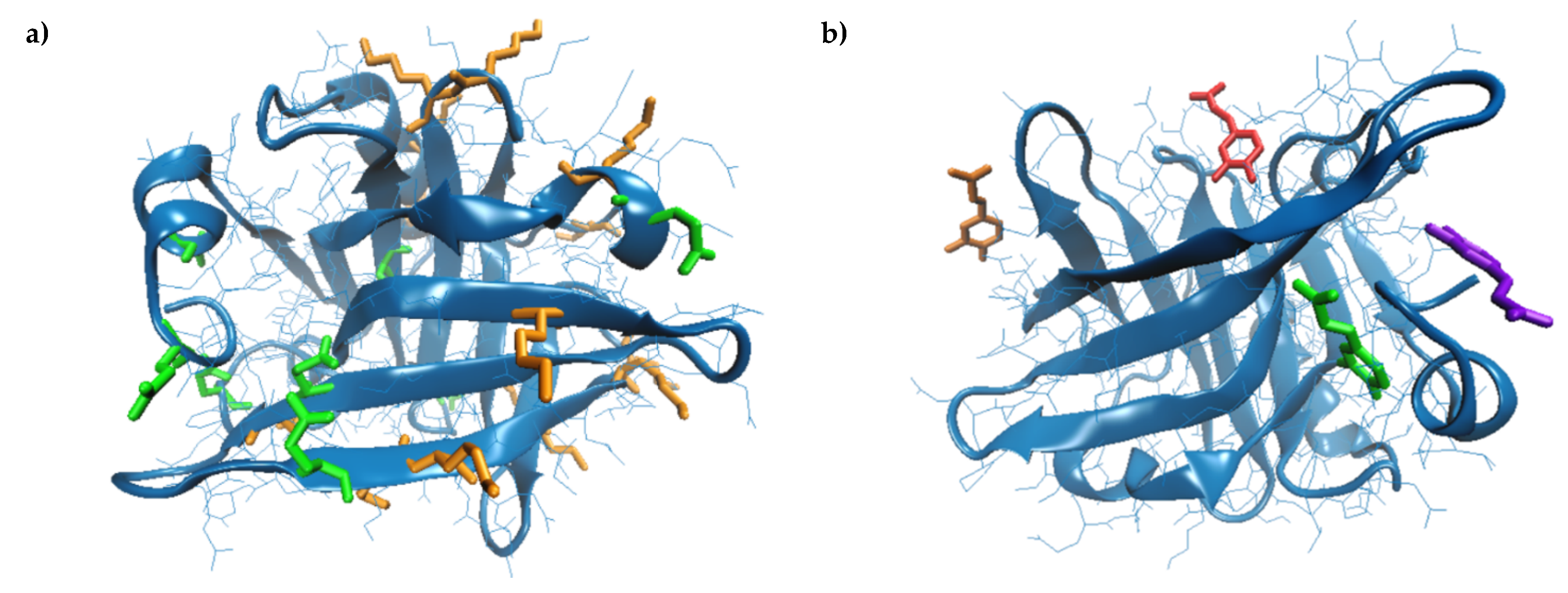 Biomolecules 10 01096 g002