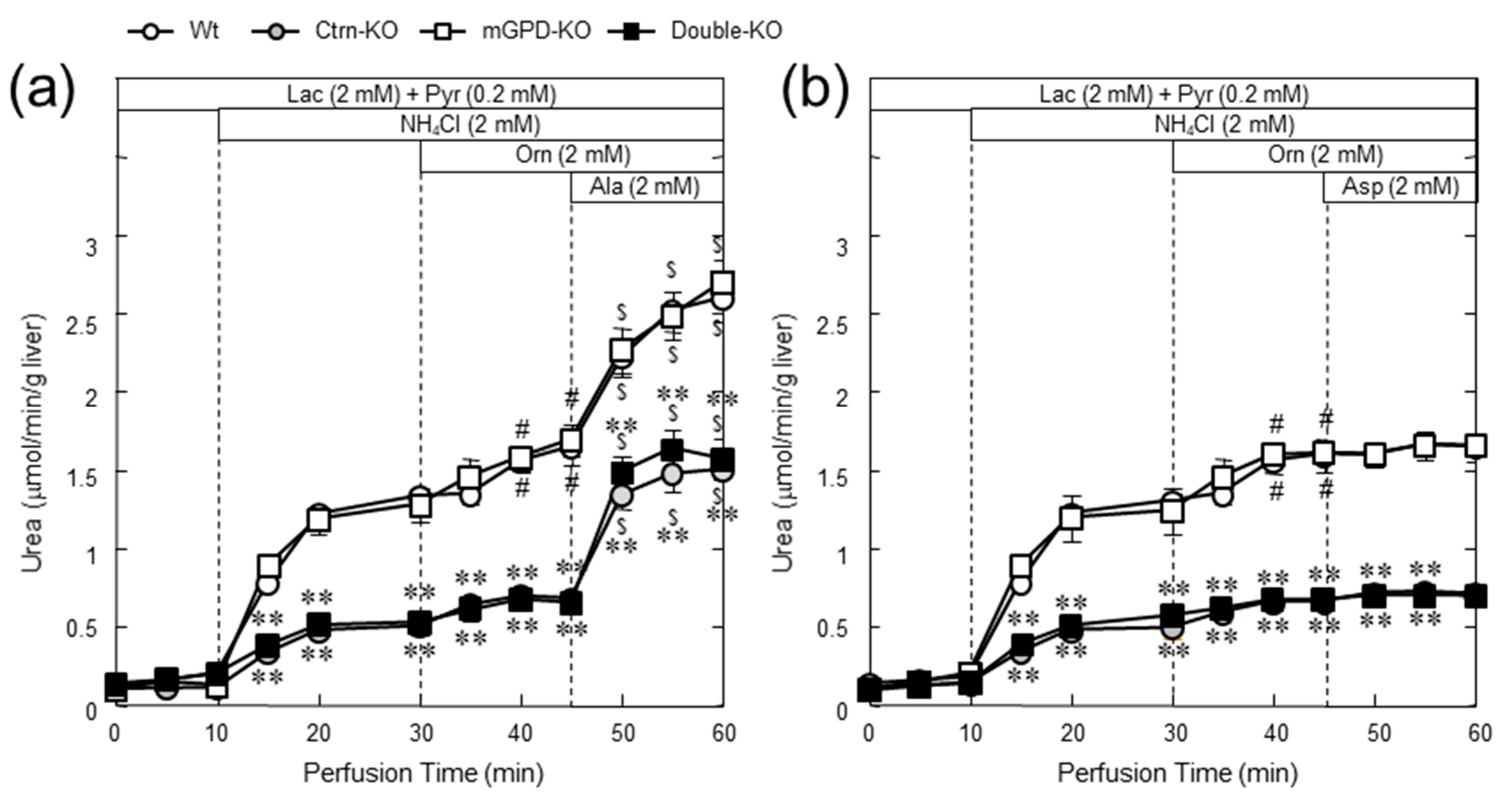 Biomolecules 10 01100 g008