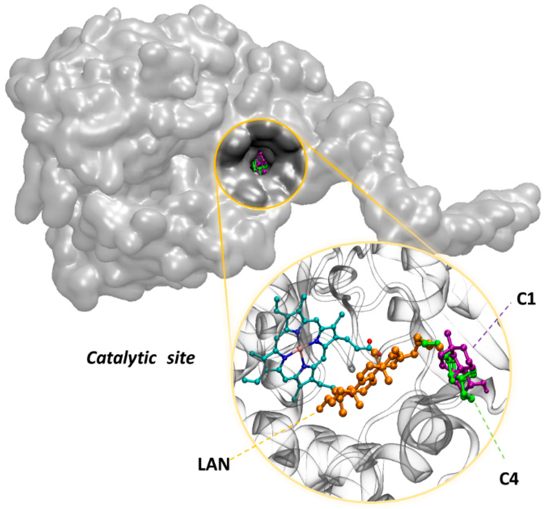 Biomolecules 10 01101 g001 Biomolecules 10 01101 g001