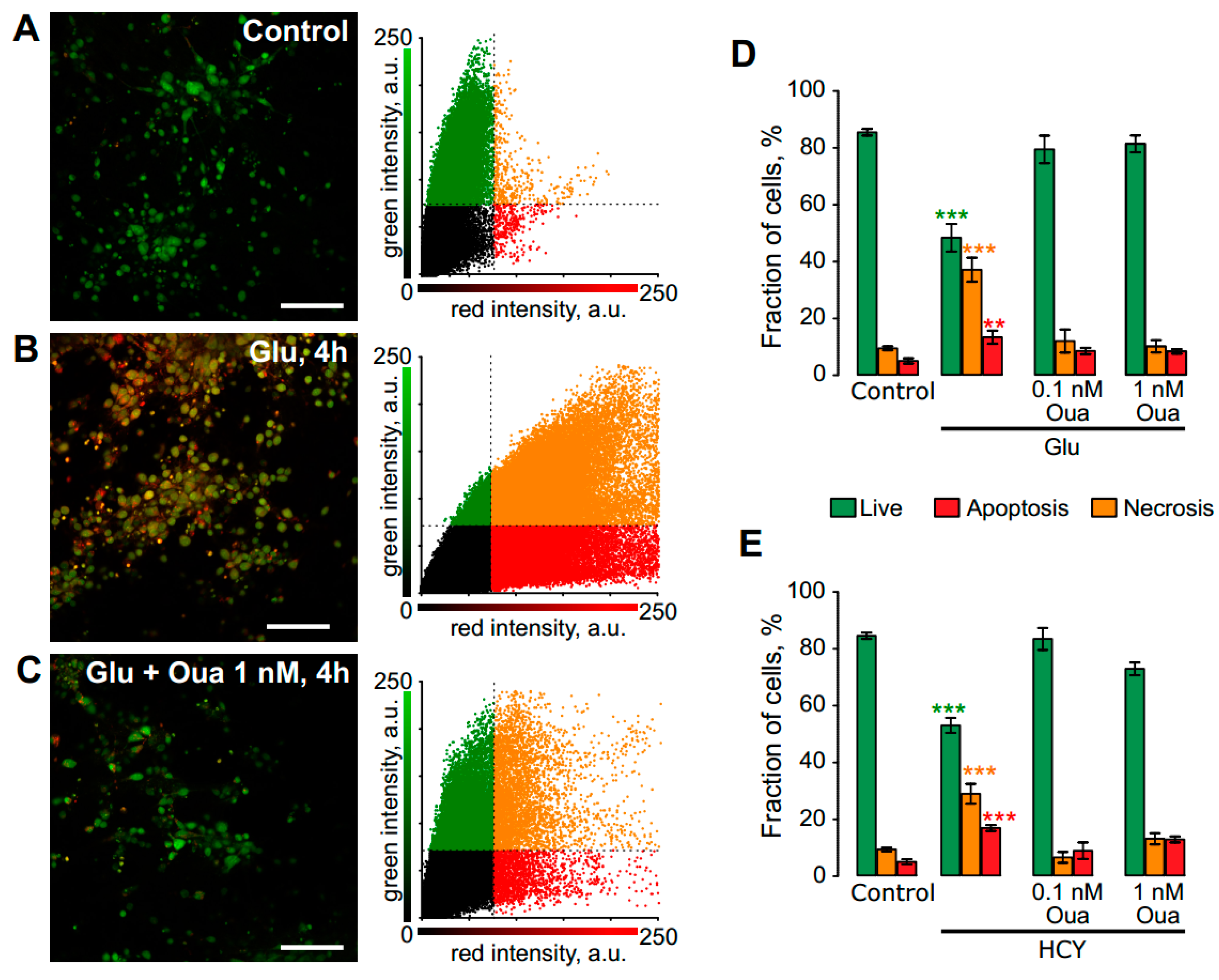 Biomolecules 10 01104 g001 Biomolecules 10 01104 g001