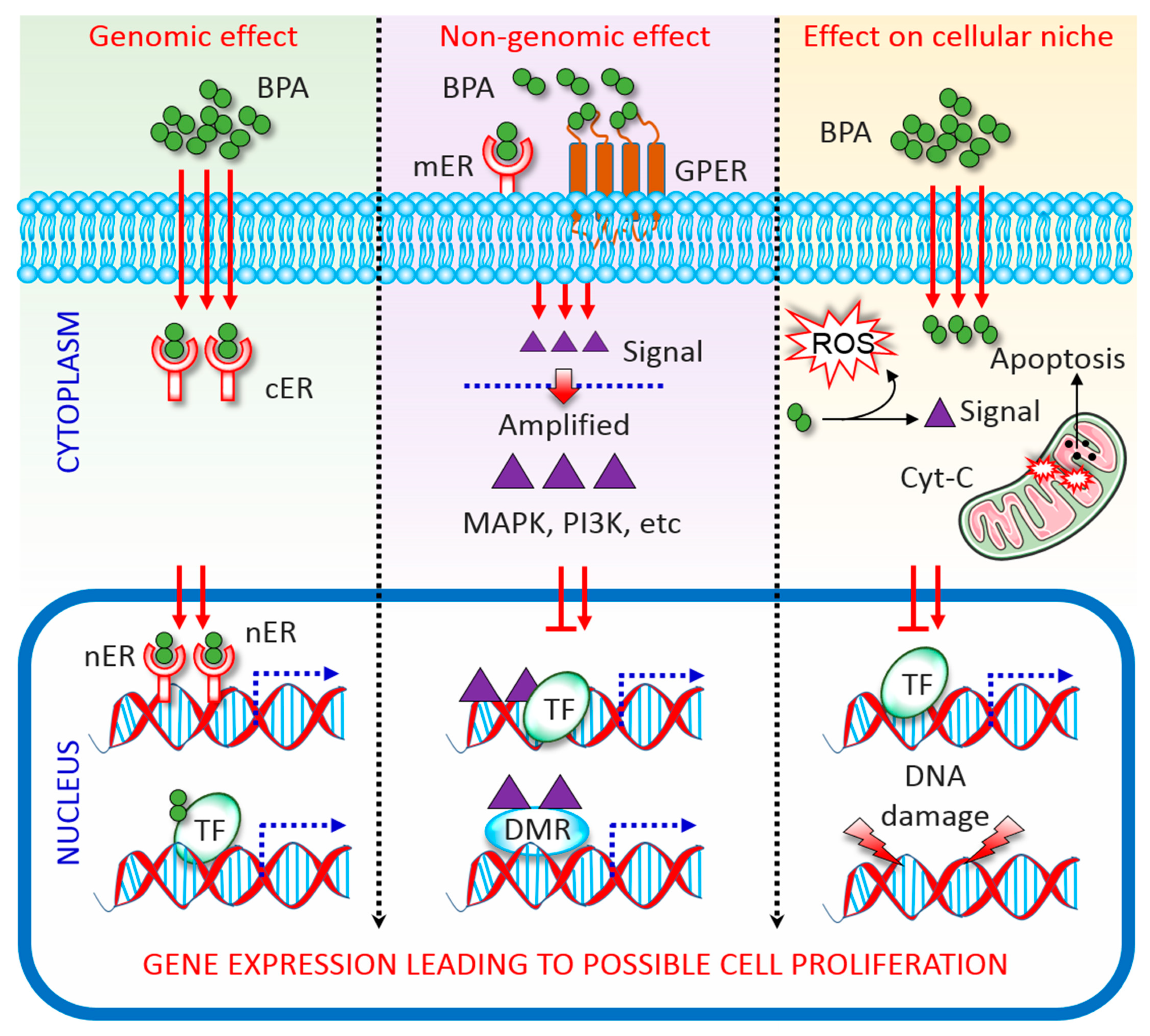 Biomolecules 10 01105 g001