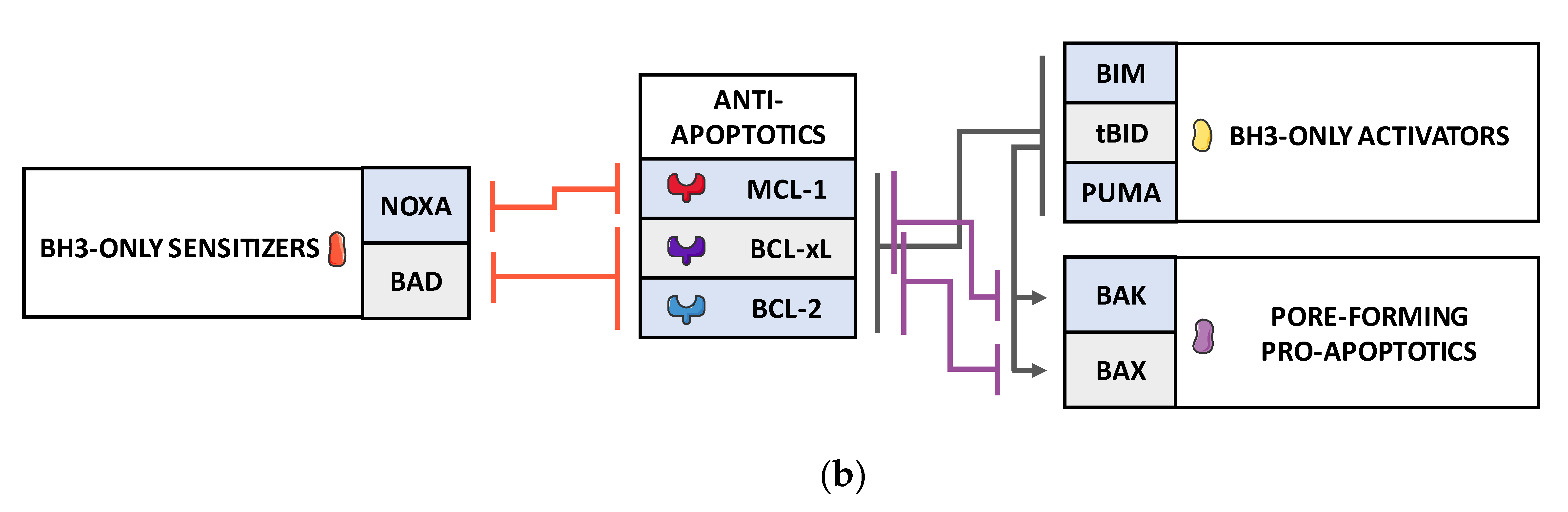 Biomolecules 10 01109 g001b