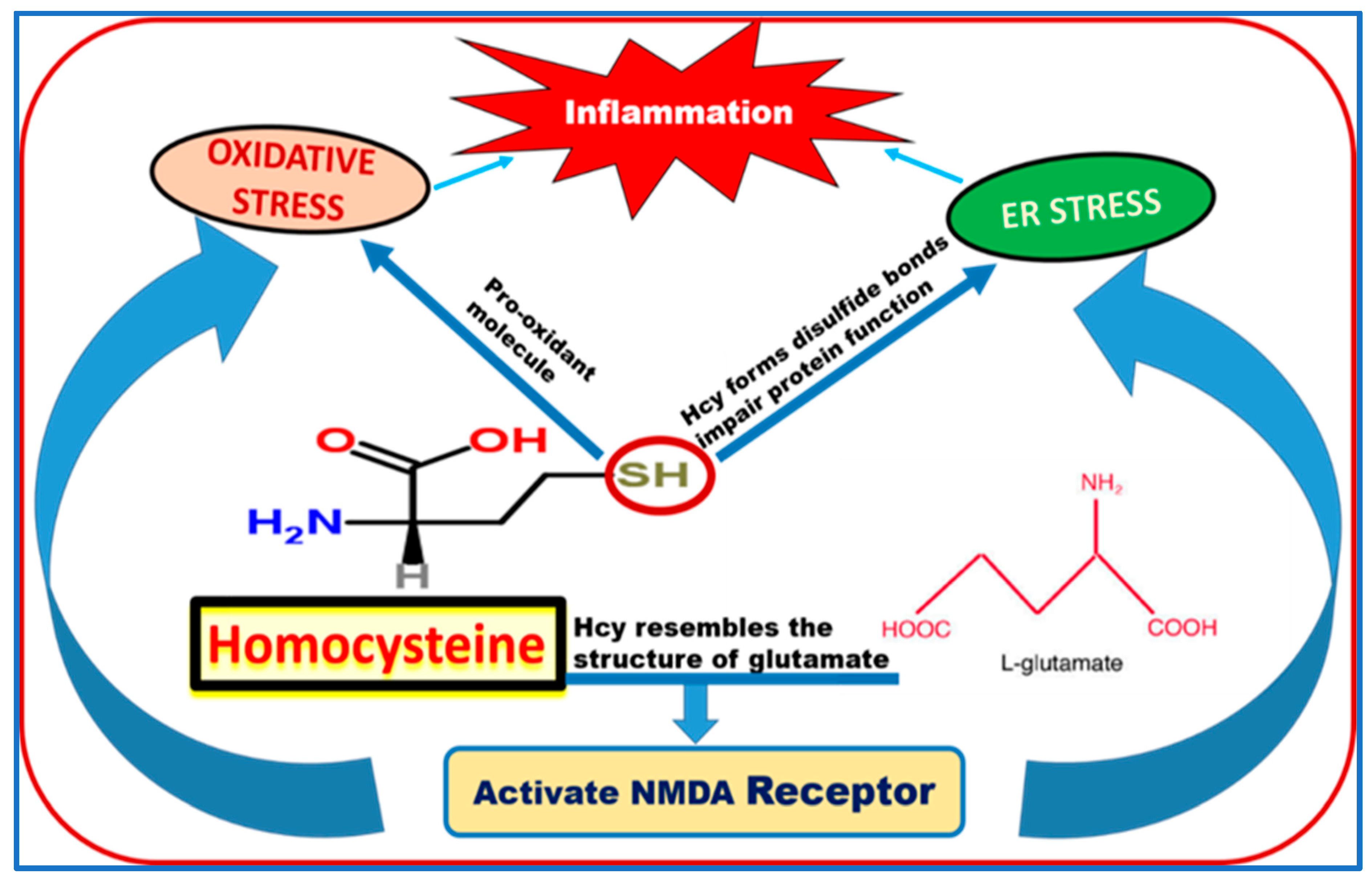 Biomolecules 10 01119 g004