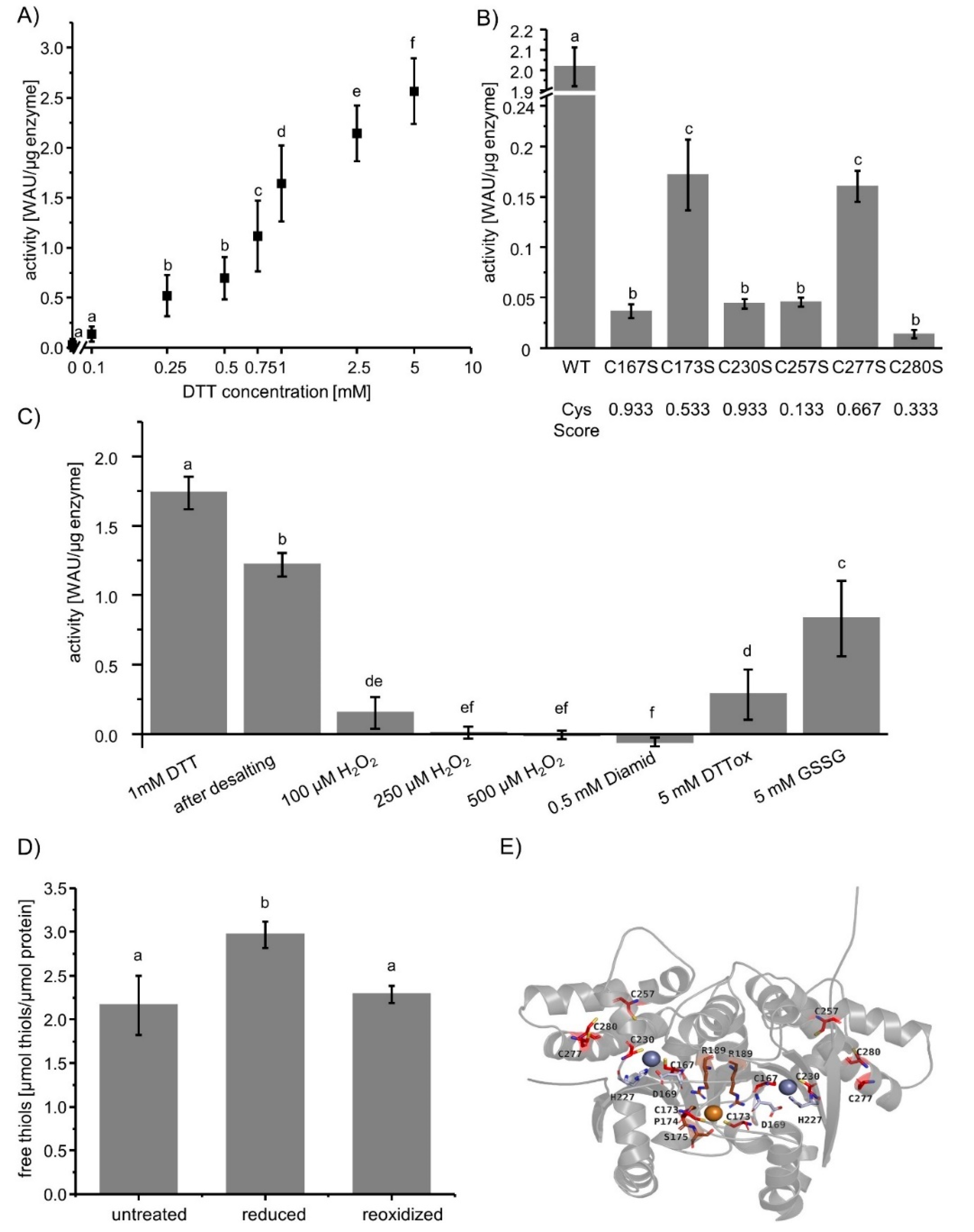 Biomolecules 10 01125 g001