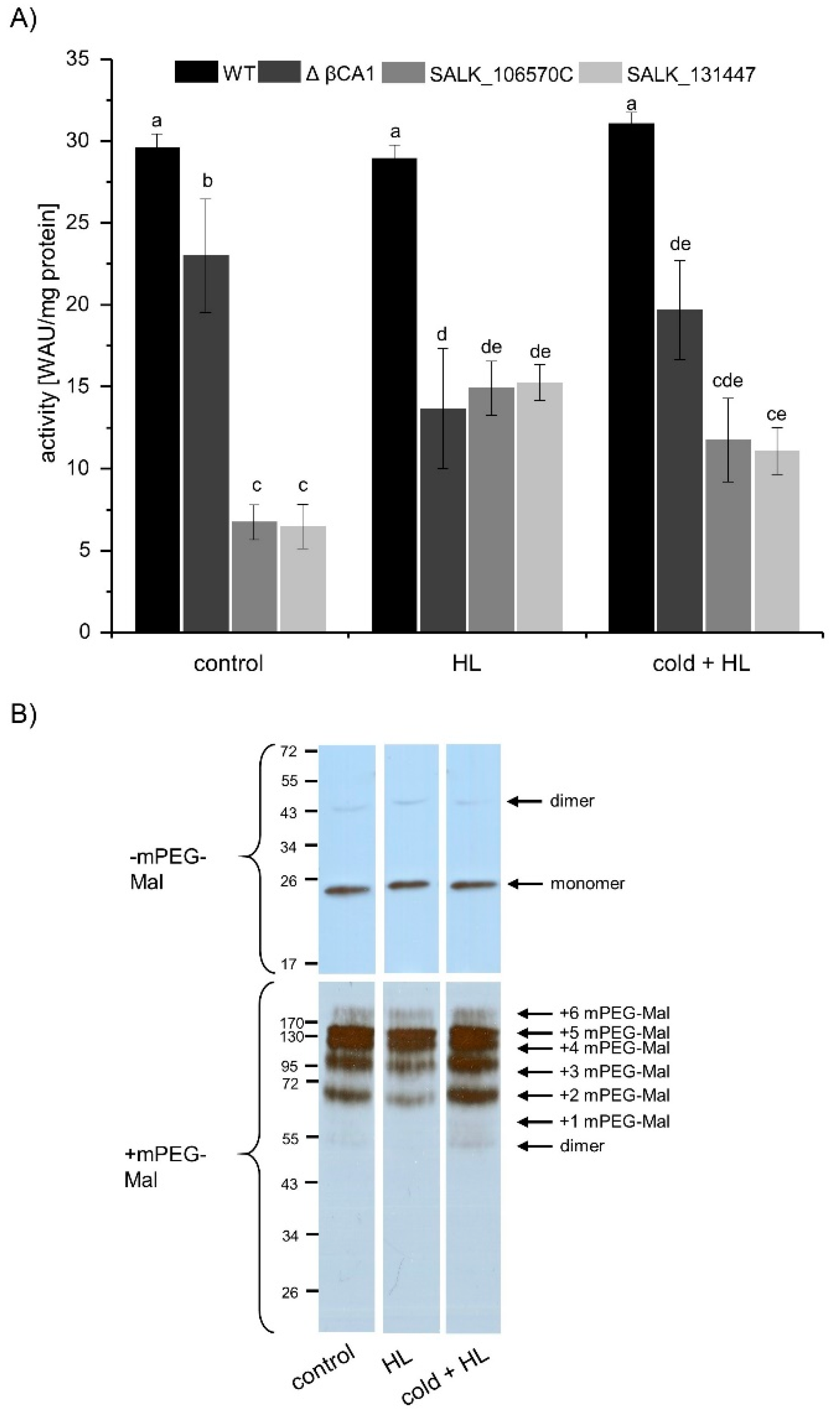 Biomolecules 10 01125 g005