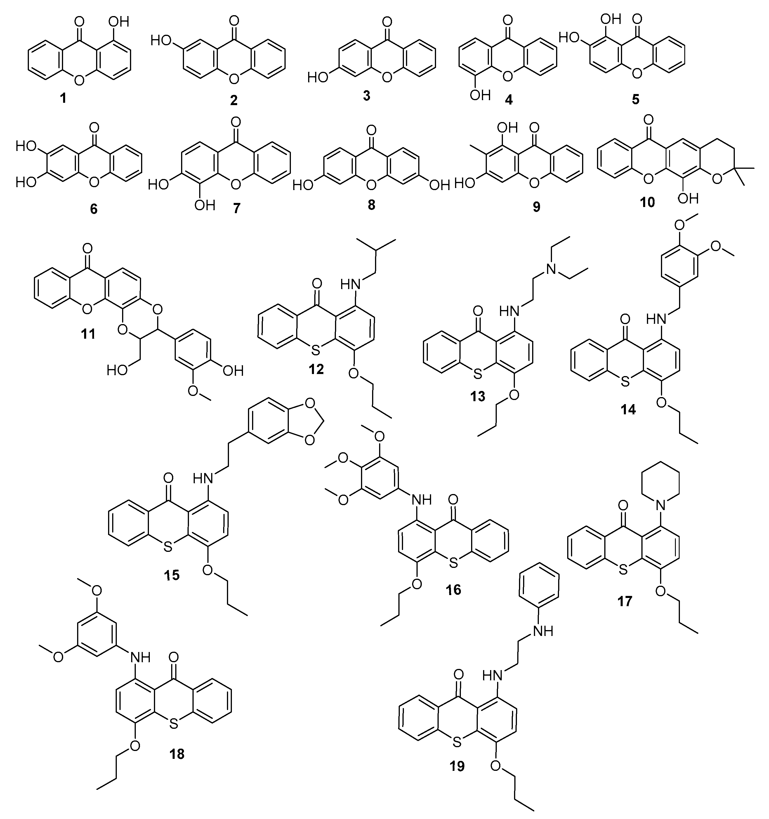 Biomolecules 10 01126 g001