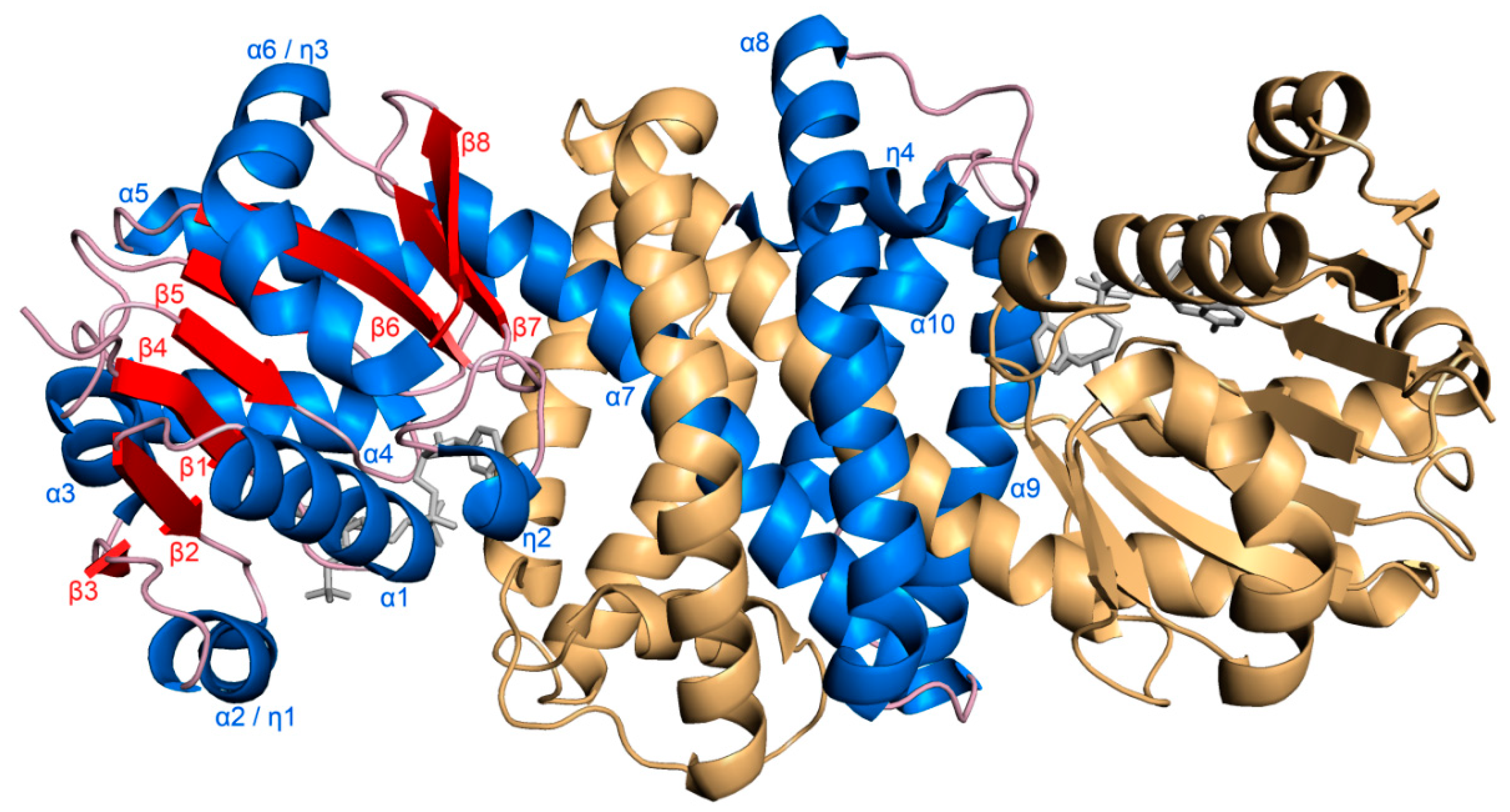 Biomolecules 10 01130 g001