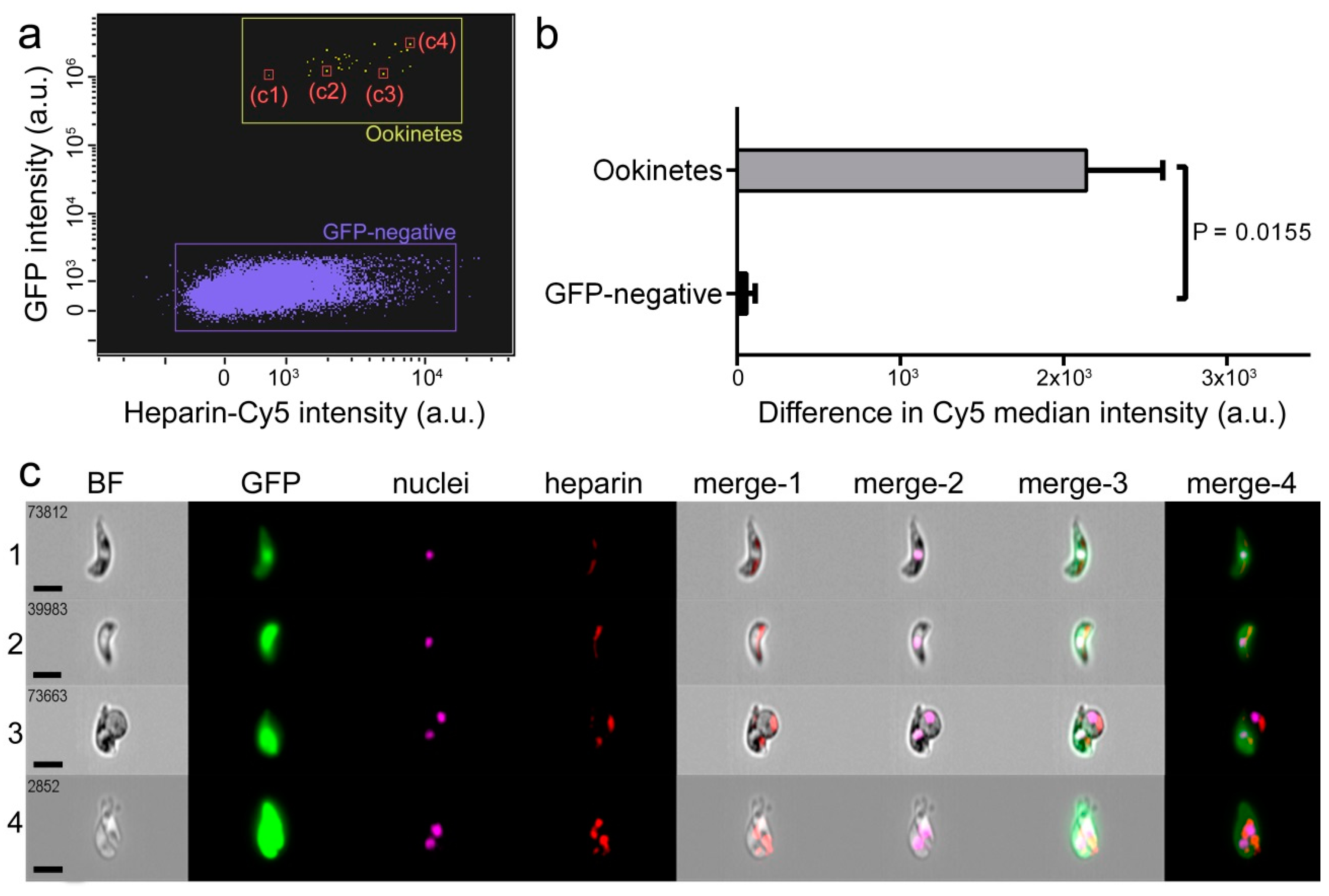 Biomolecules 10 01136 g001