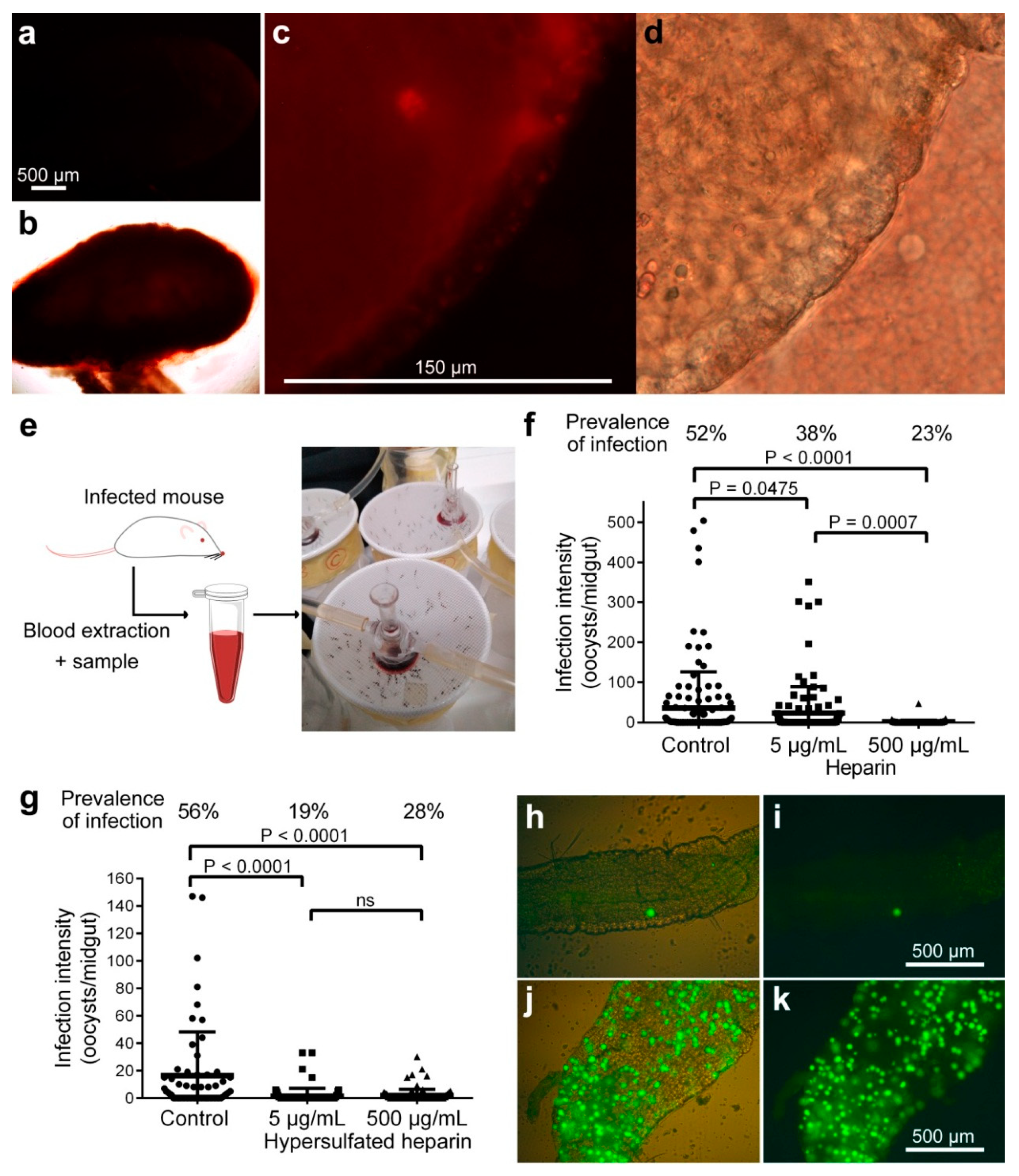 Biomolecules 10 01136 g003