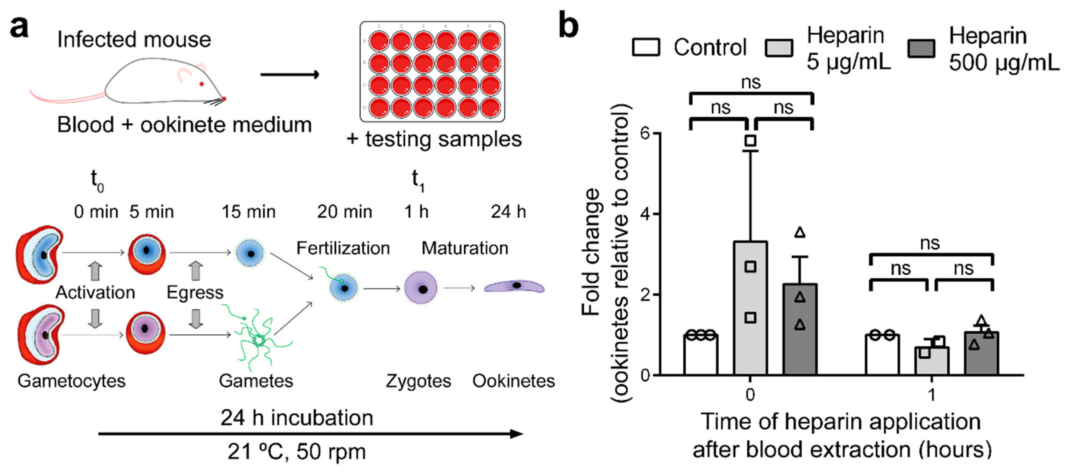 Biomolecules 10 01136 g004