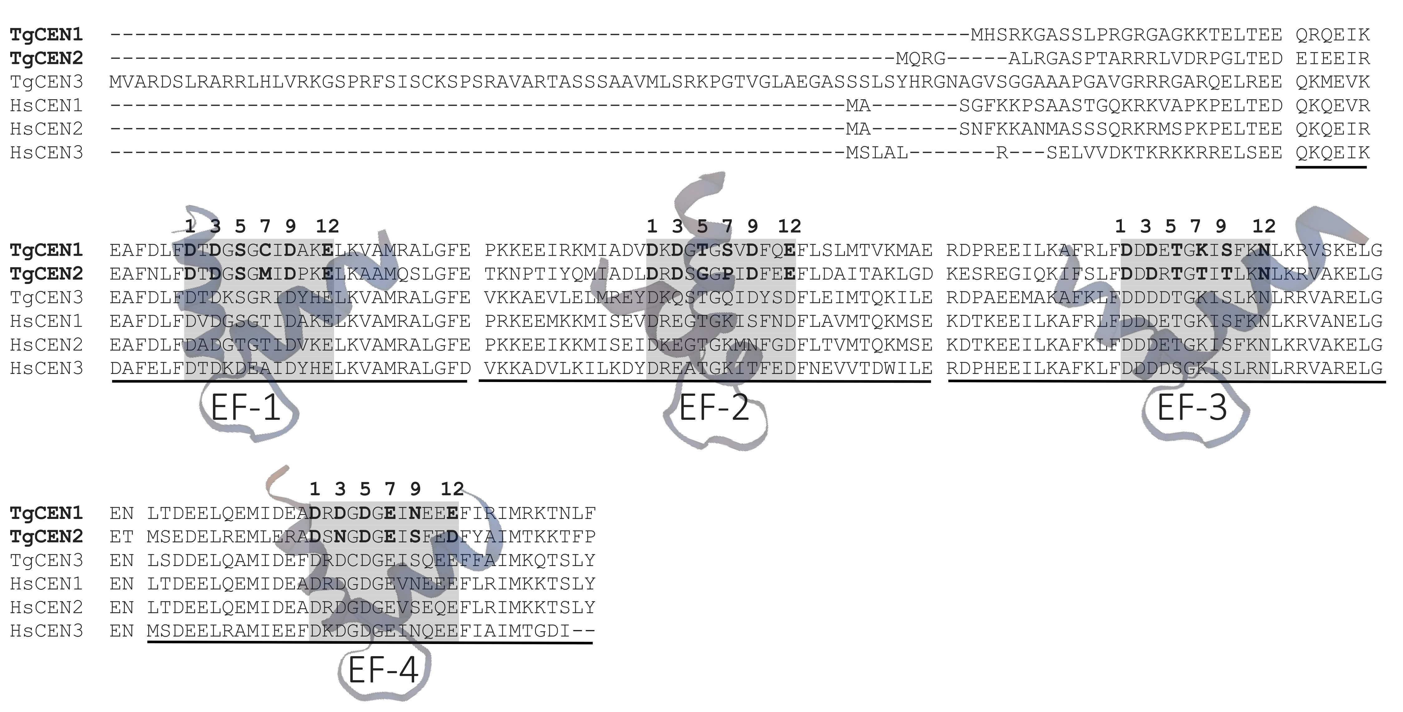 Biomolecules 10 01142 g001