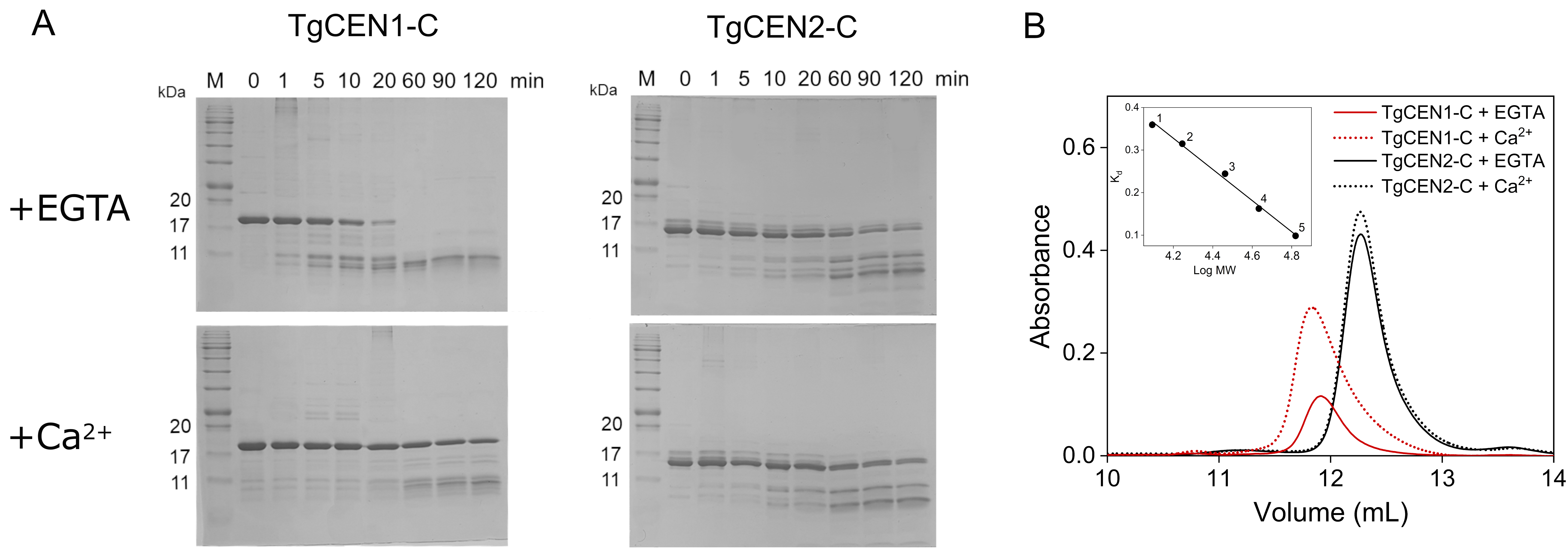 Biomolecules 10 01142 g004