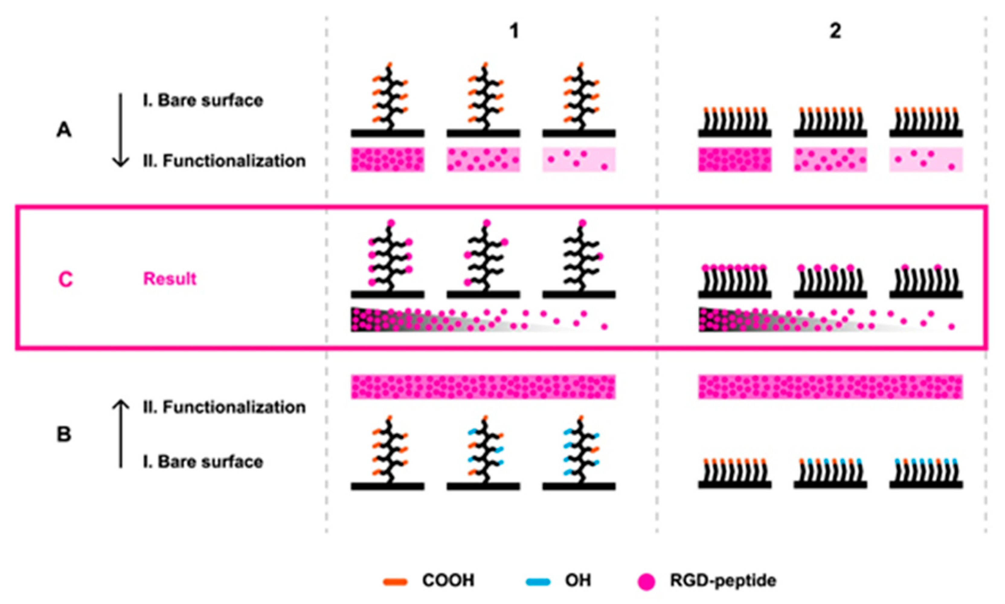Biomolecules 10 01146 g001 Biomolecules 10 01146 g001