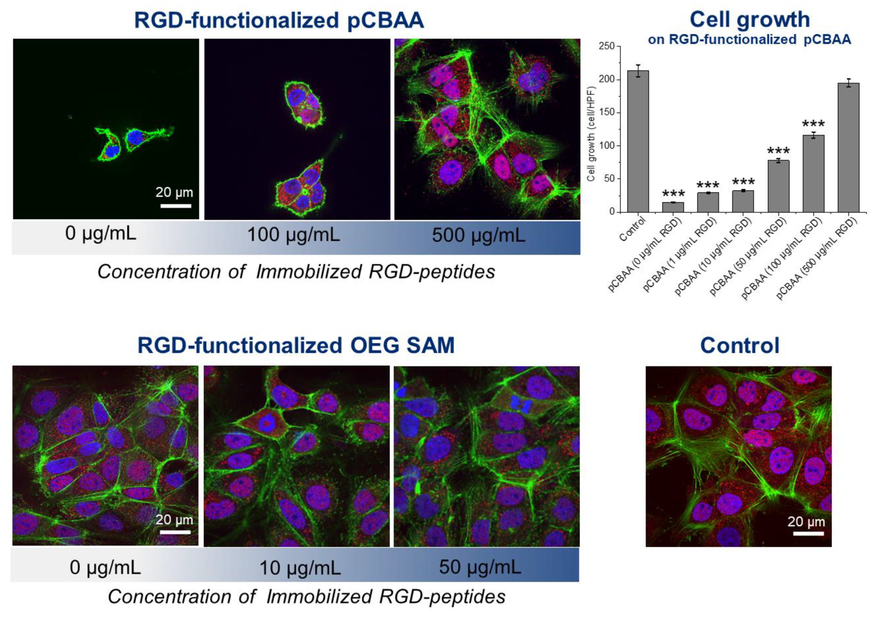 Biomolecules 10 01146 g002 Biomolecules 10 01146 g002