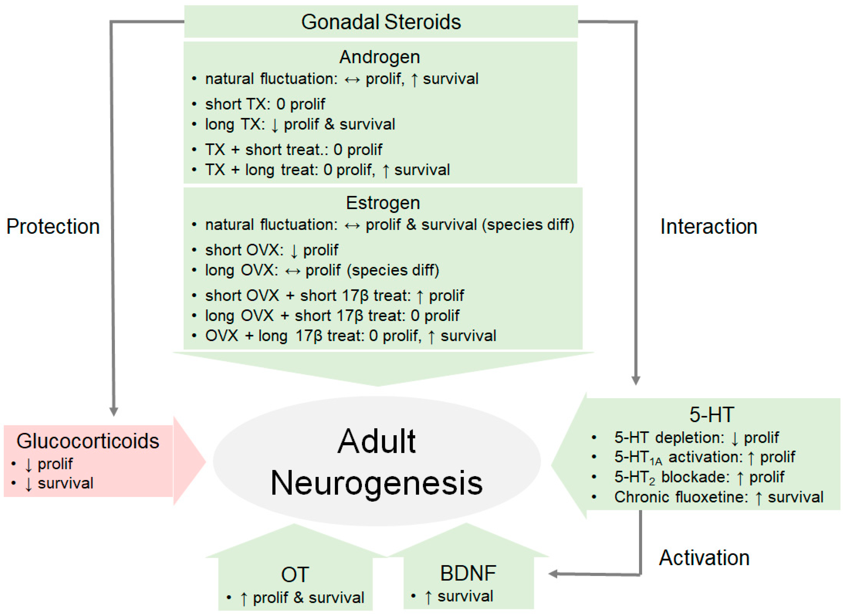 Biomolecules 10 01151 g002