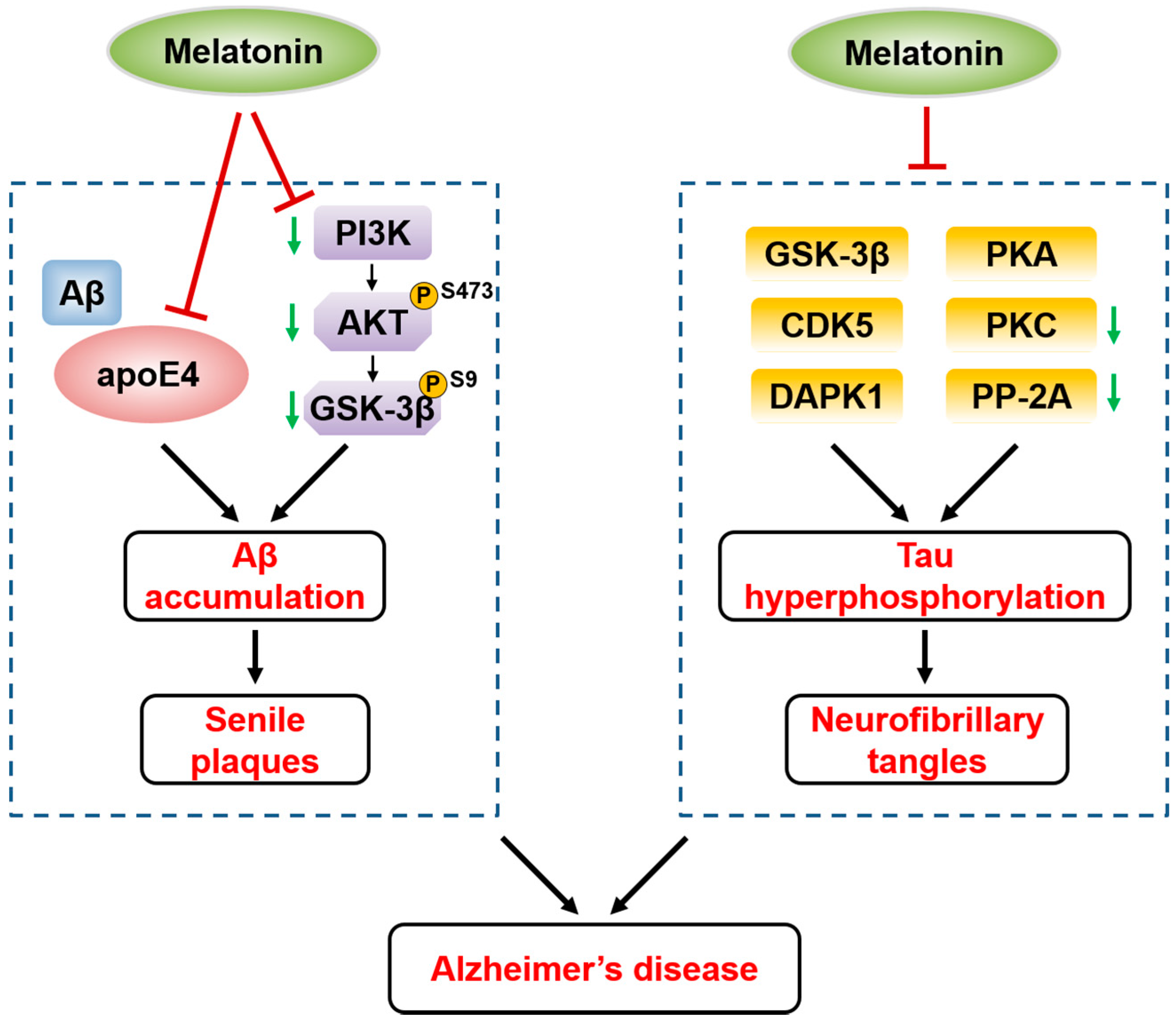 Biomolecules 10 01158 g002 Biomolecules 10 01158 g002