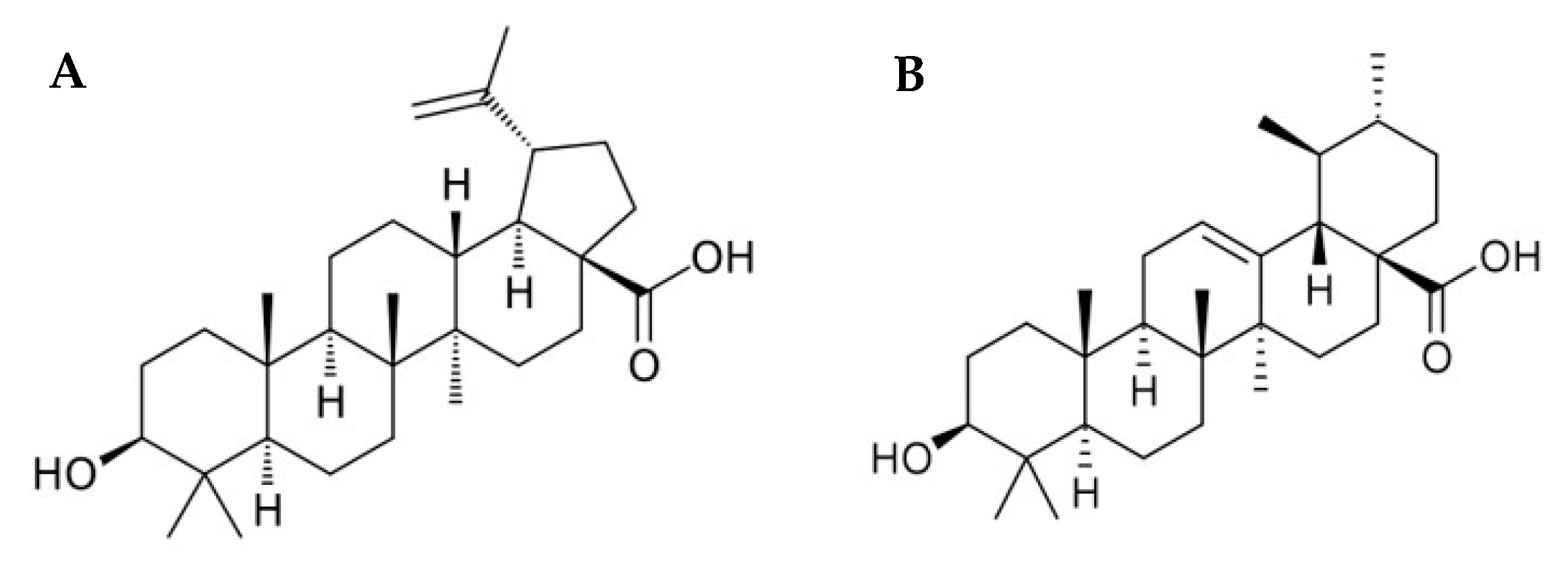 Biomolecules 10 01163 g001