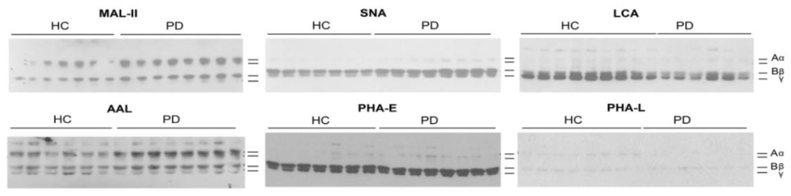 Biomolecules 10 01165 g004 Biomolecules 10 01165 g004