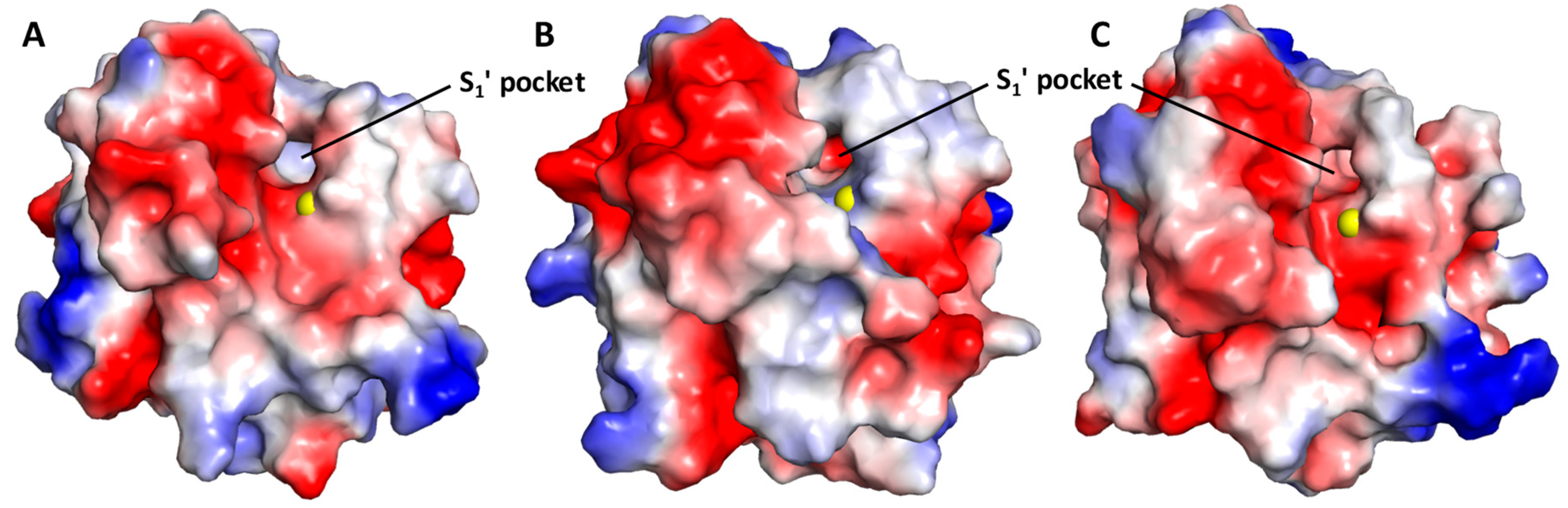 Biomolecules 10 01166 g002