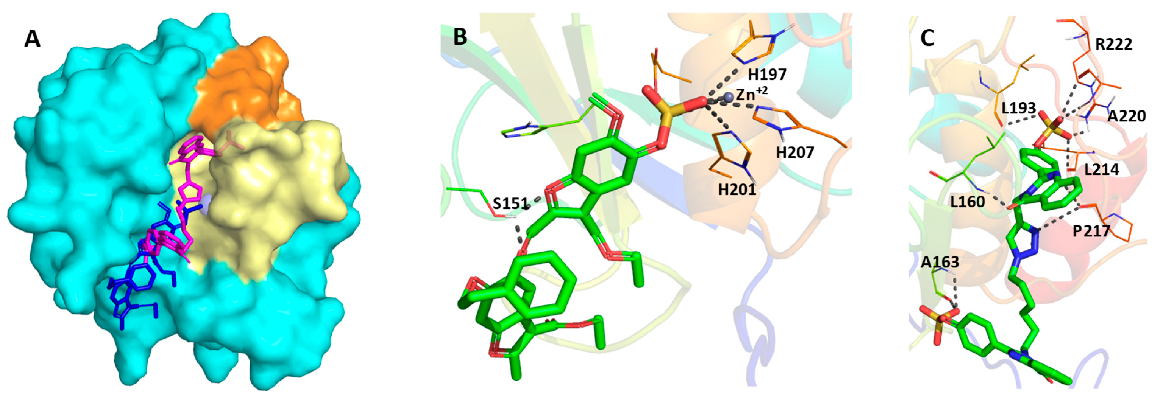 Biomolecules 10 01166 g005