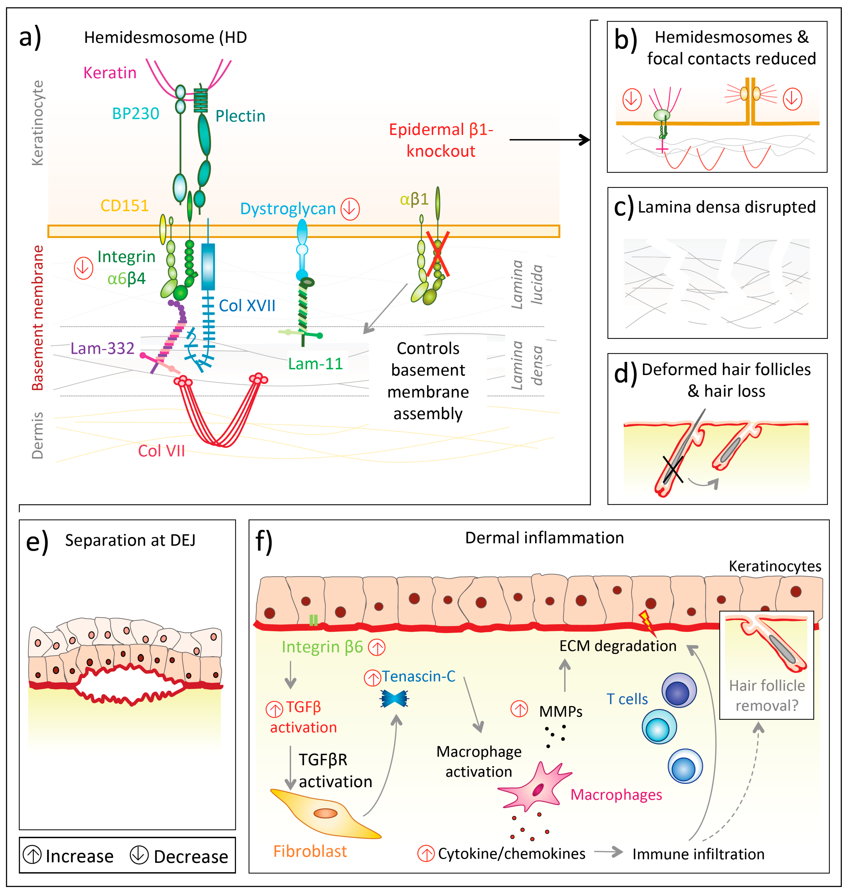 Biomolecules 10 01170 g002