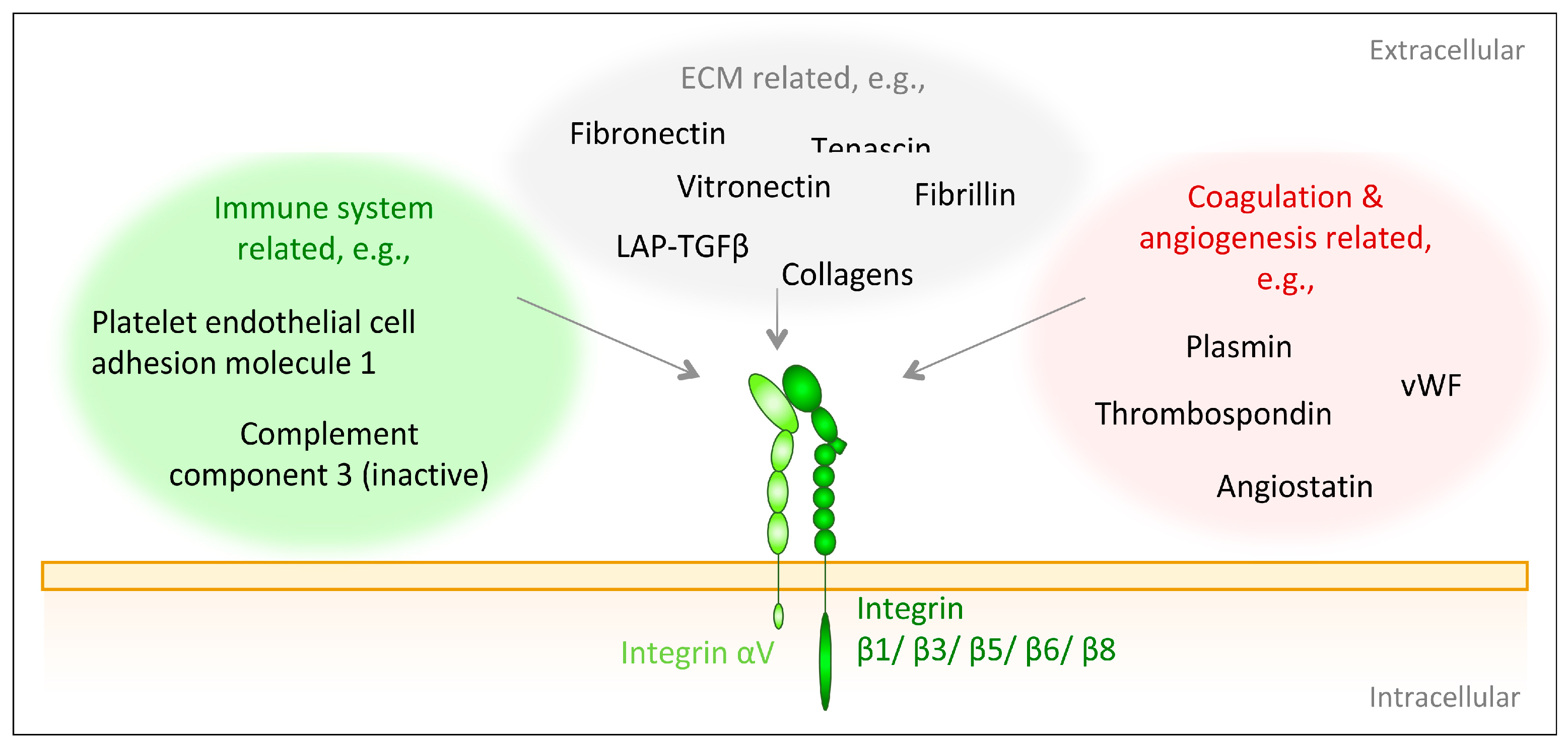 Biomolecules 10 01170 g003