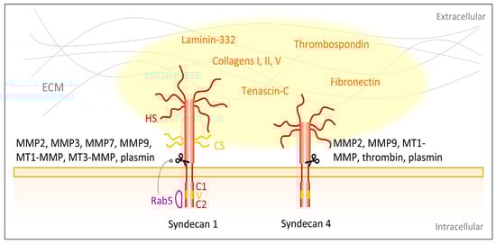 Biomolecules 10 01170 g004