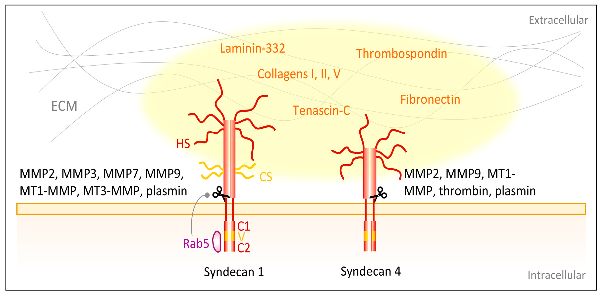 Biomolecules 10 01170 g004