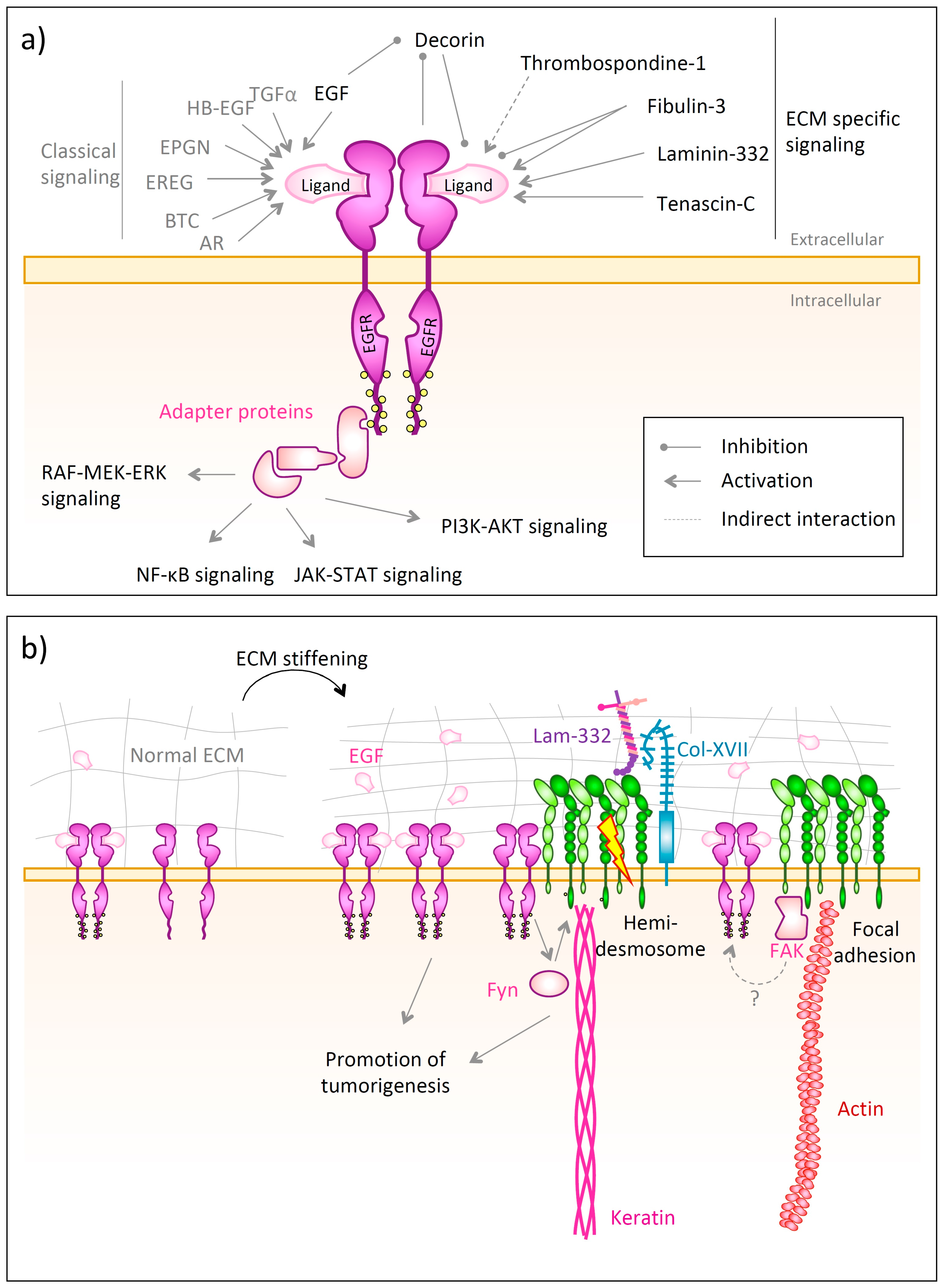 Biomolecules 10 01170 g006