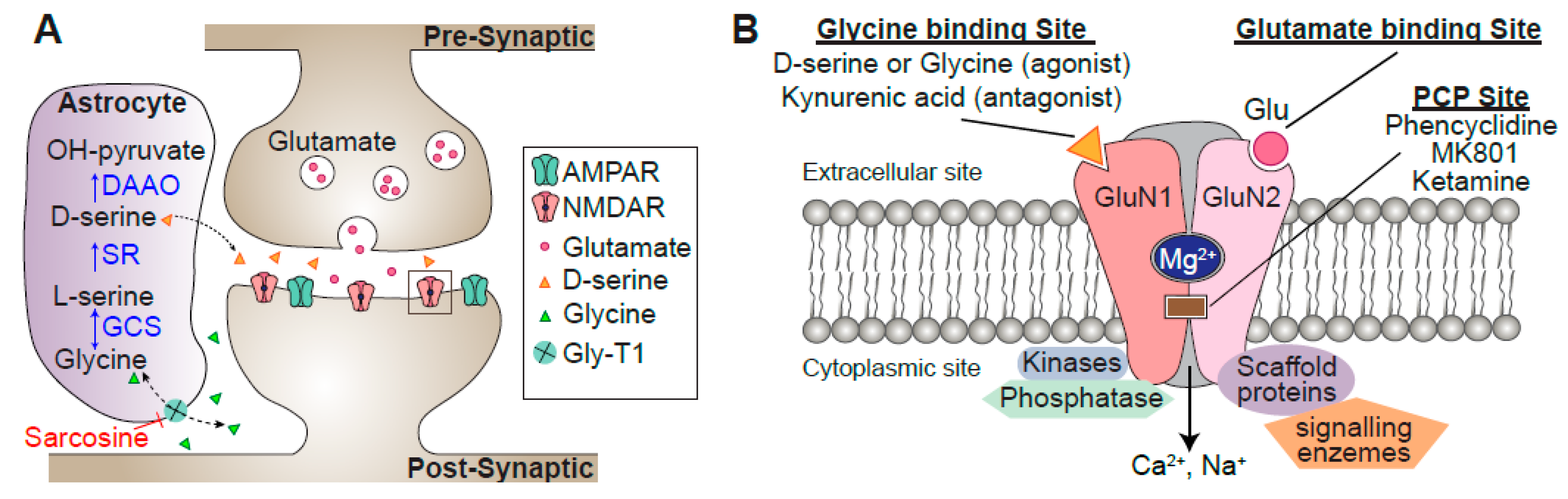 Biomolecules 10 01172 g002