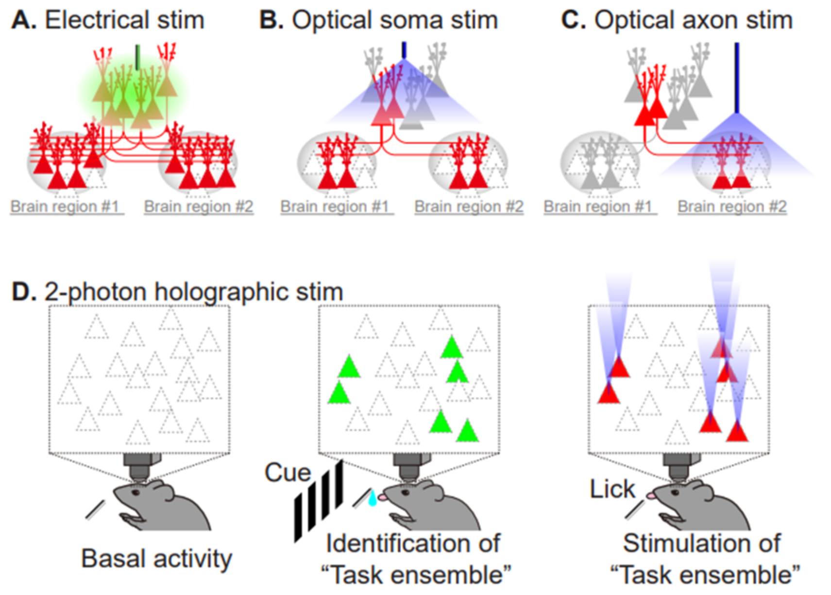 Biomolecules 10 01172 g005