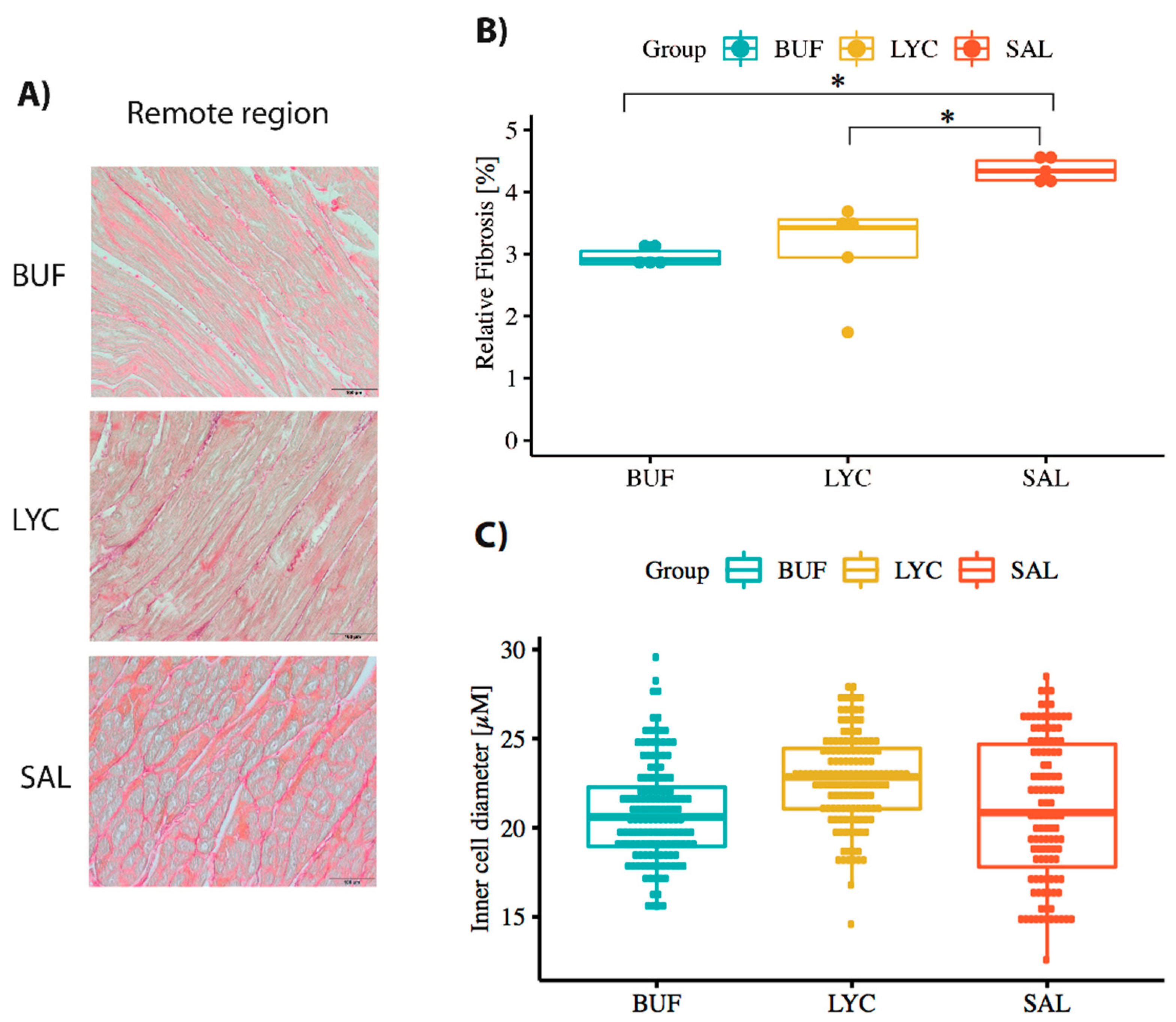 Biomolecules 10 01180 g005 Biomolecules 10 01180 g005