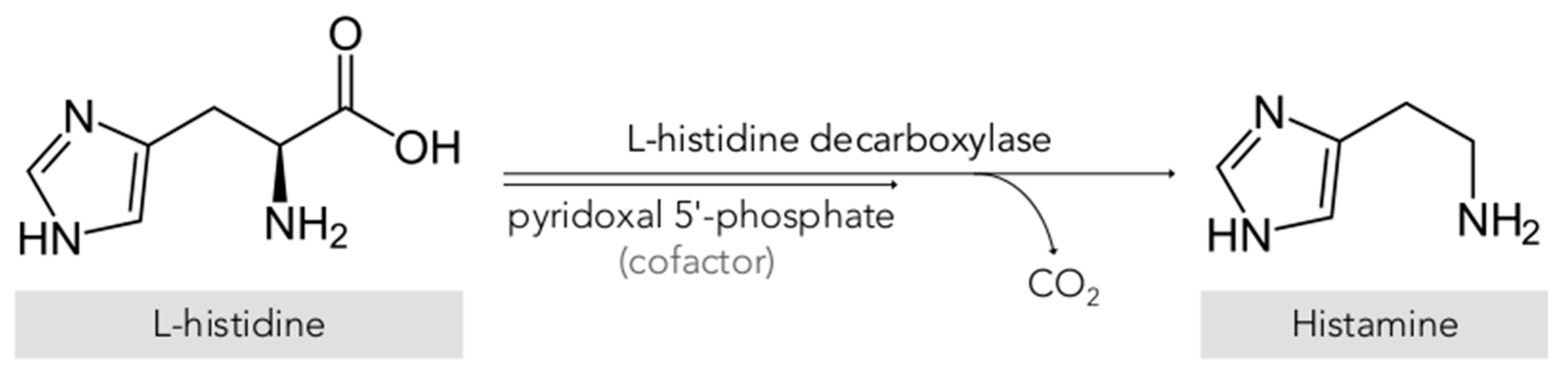 Biomolecules 10 01181 g001 Biomolecules 10 01181 g001