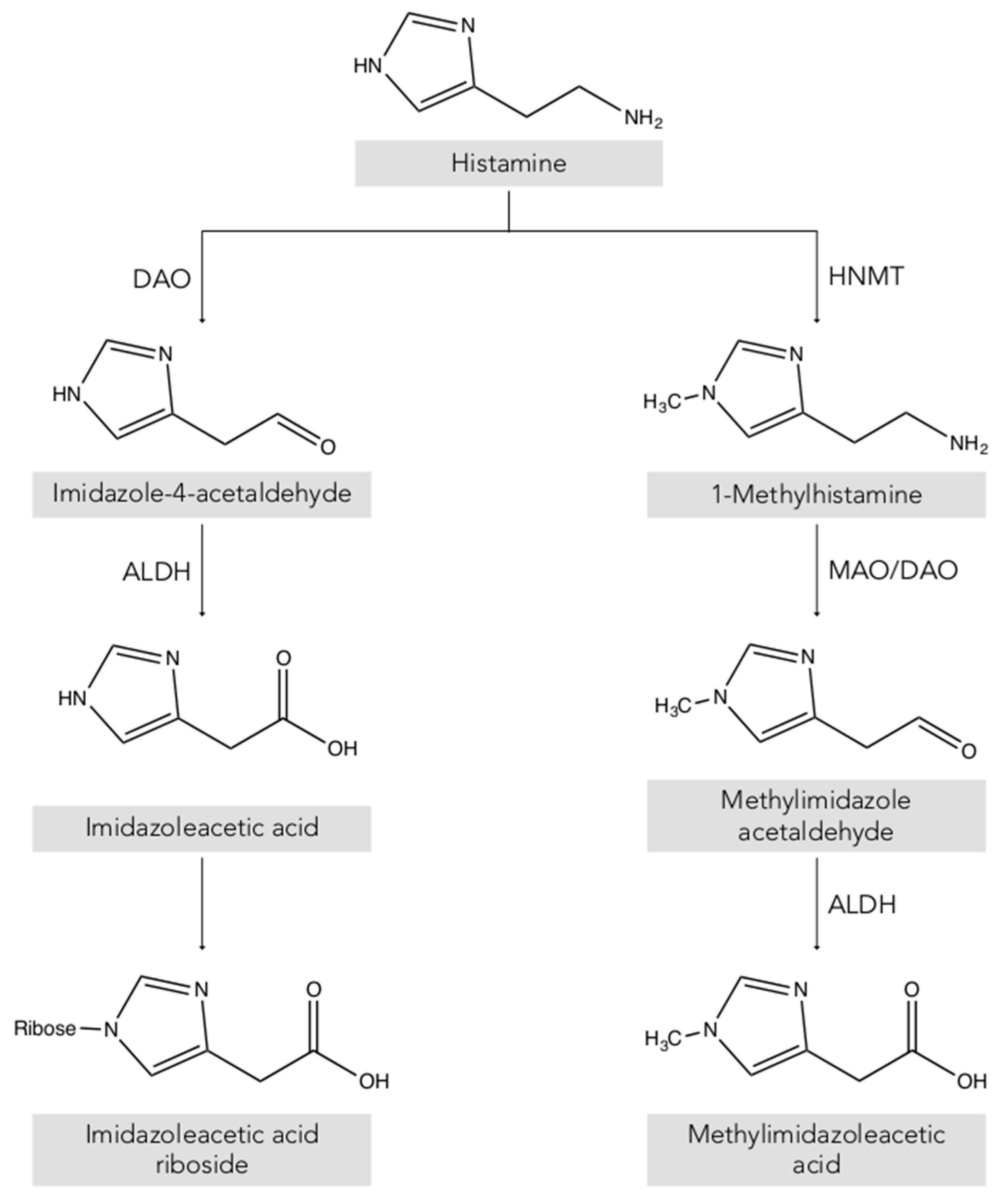 Biomolecules 10 01181 g002 Biomolecules 10 01181 g002