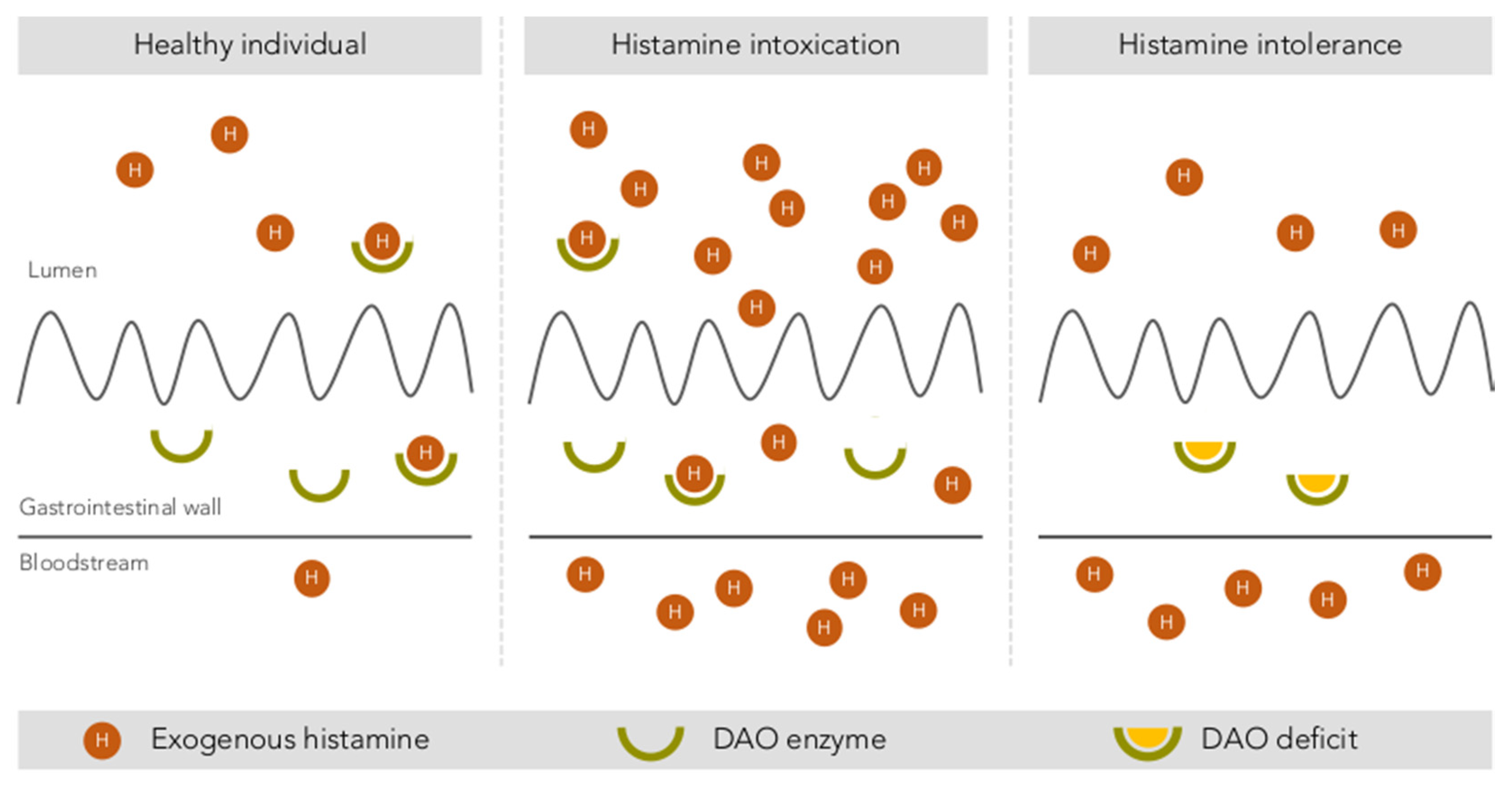 Biomolecules 10 01181 g003 Biomolecules 10 01181 g003