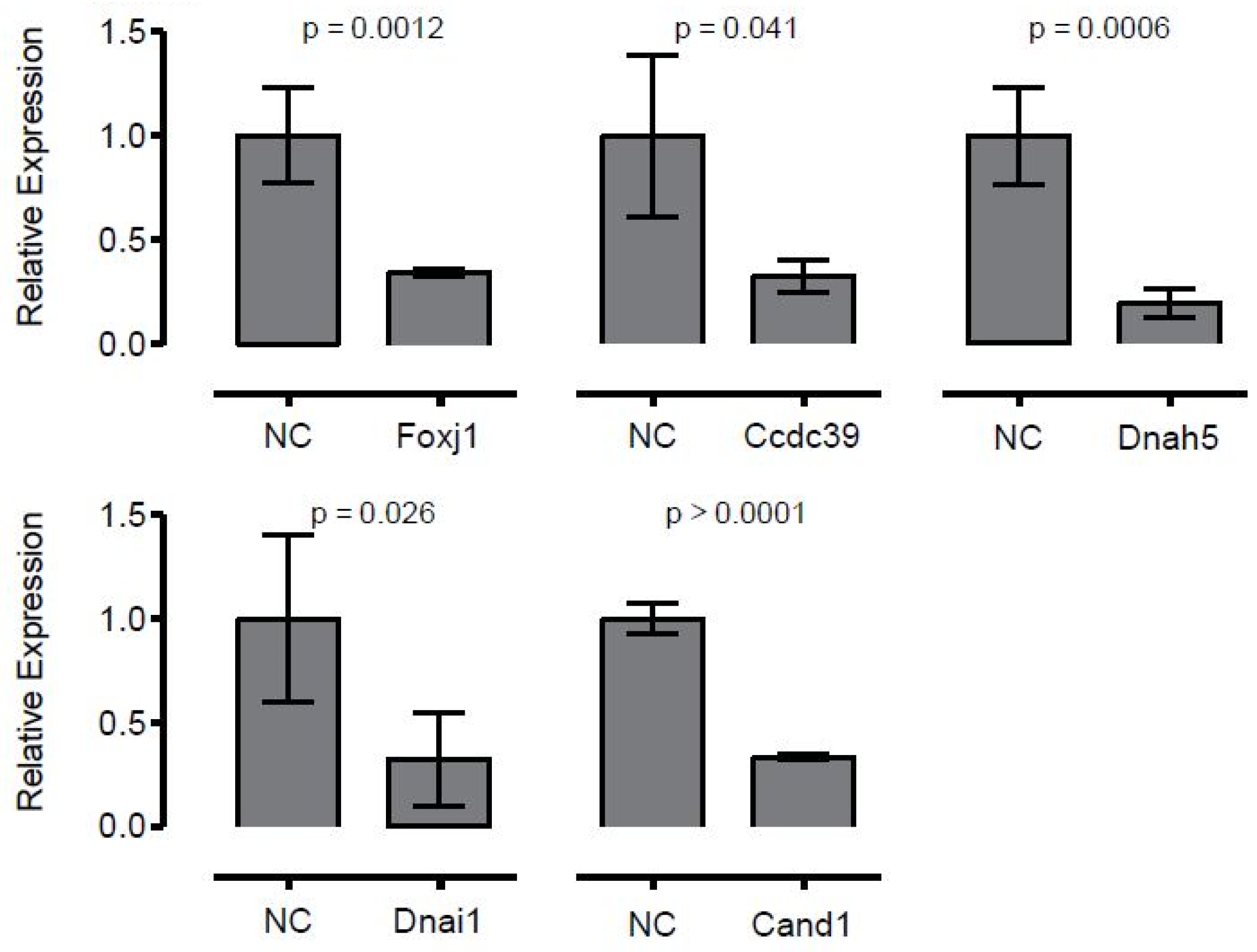 Biomolecules 10 01182 g003 Biomolecules 10 01182 g003