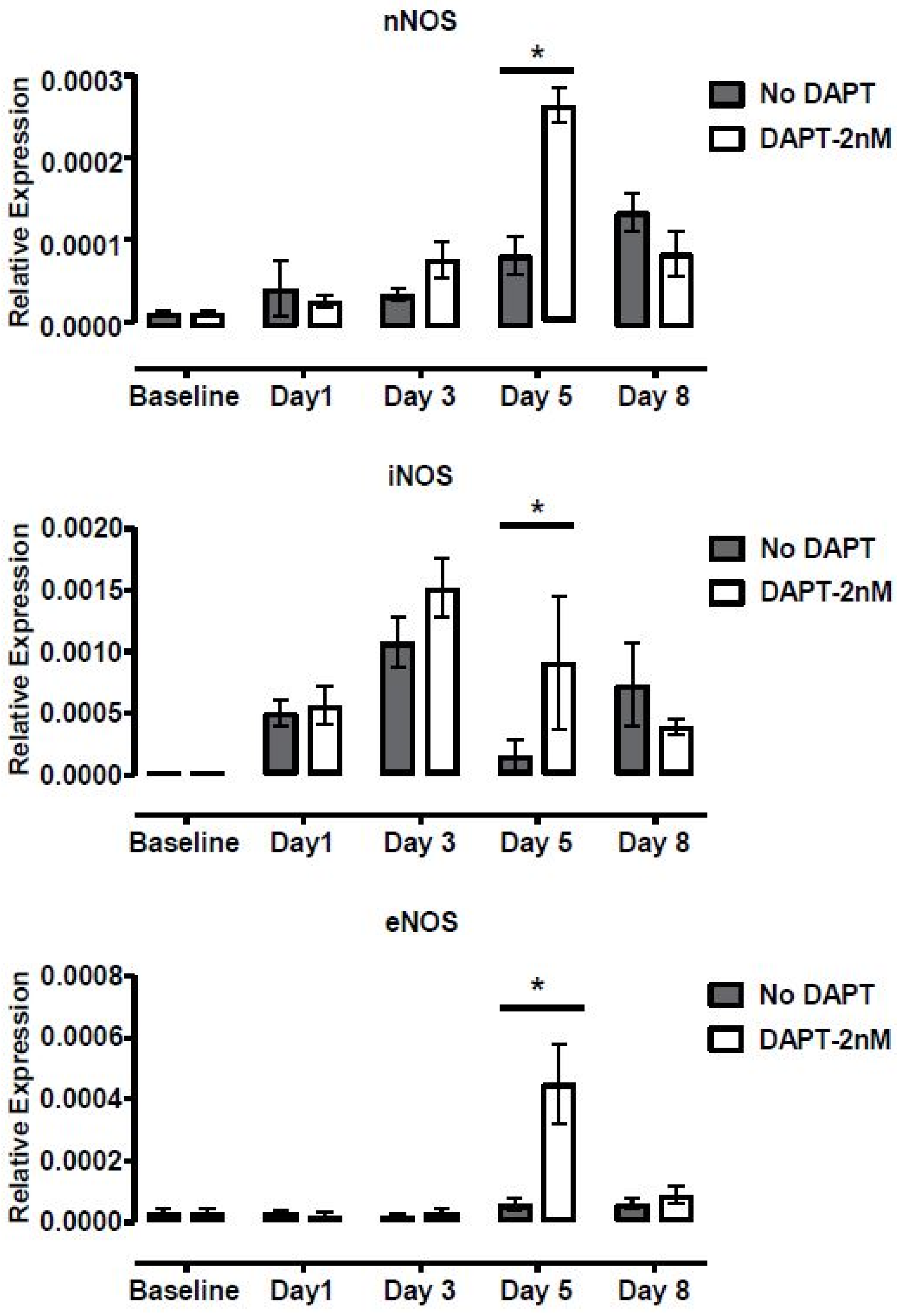 Biomolecules 10 01182 g007 Biomolecules 10 01182 g007
