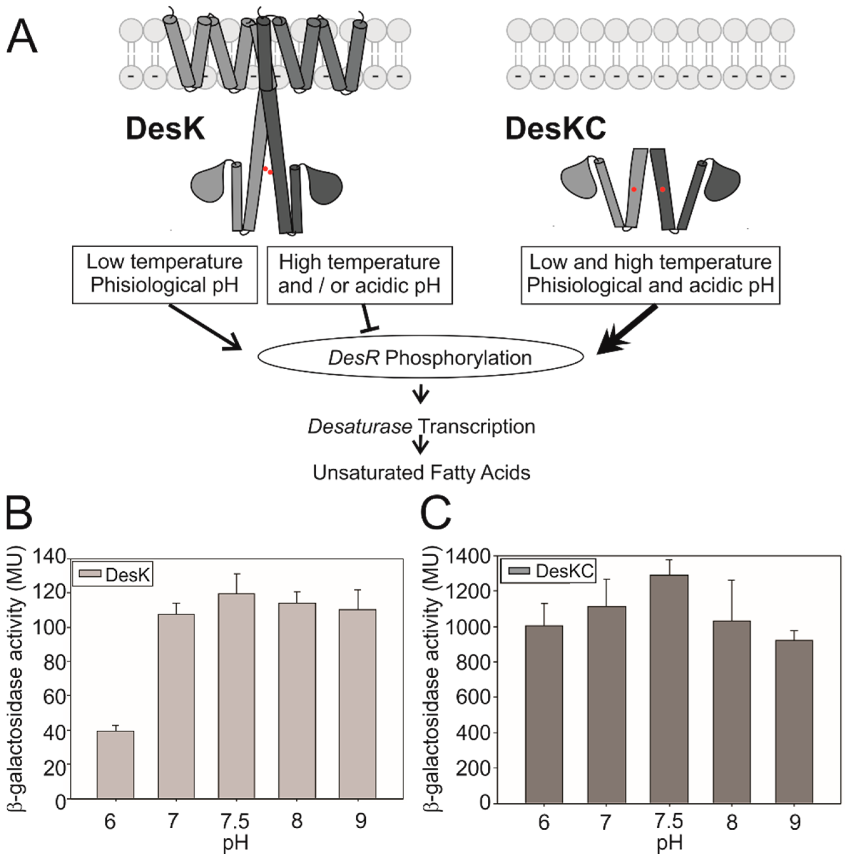 Biomolecules 10 01183 g001 Biomolecules 10 01183 g001
