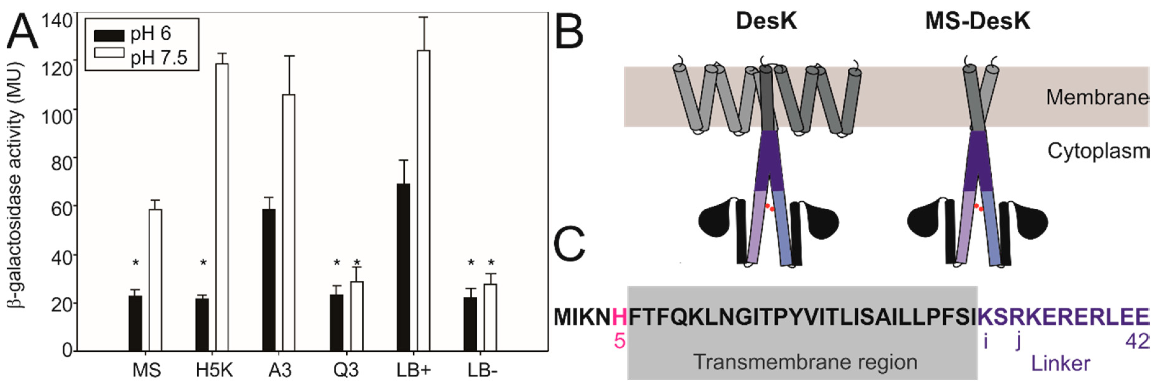 Biomolecules 10 01183 g003 Biomolecules 10 01183 g003