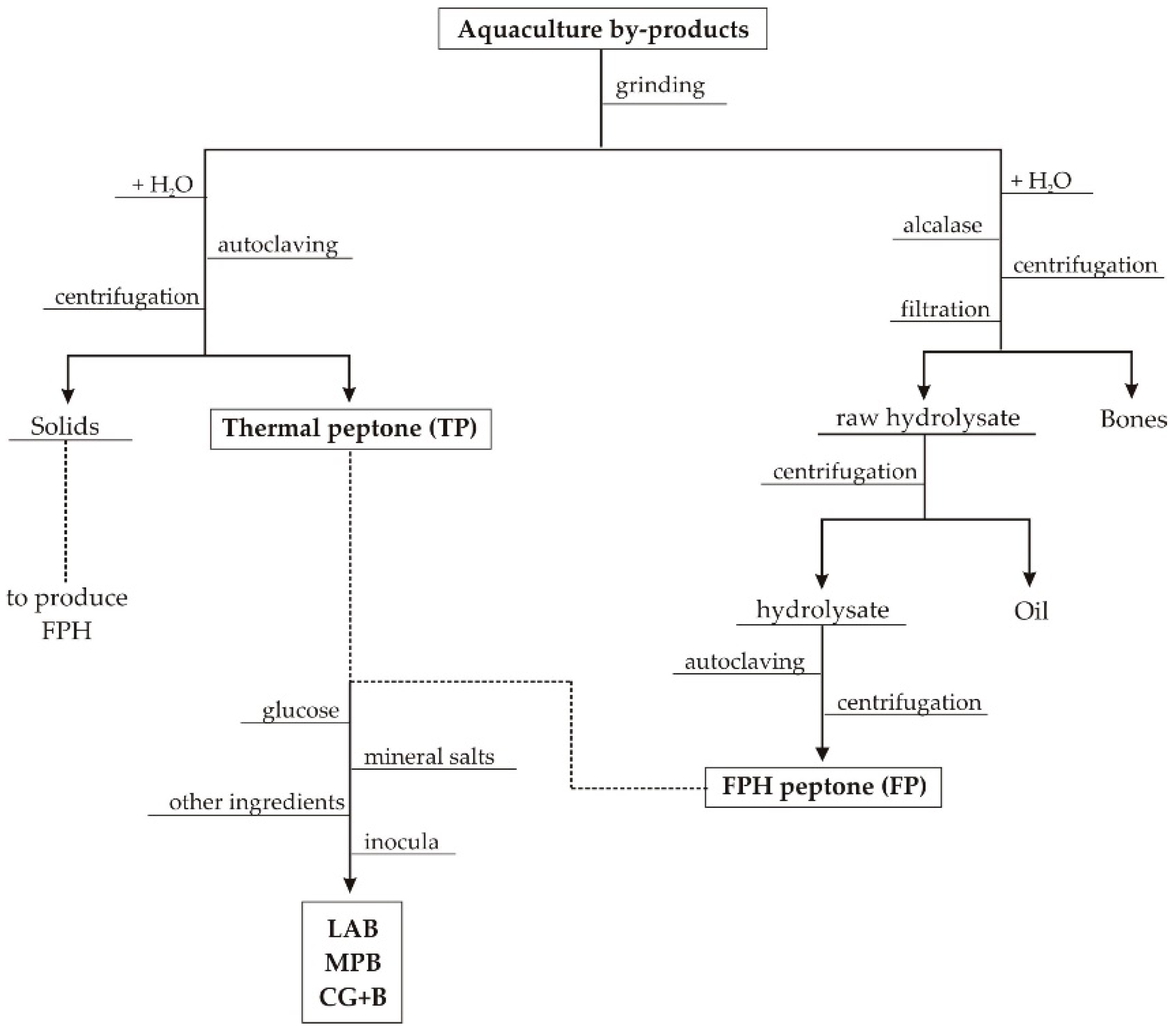 Biomolecules 10 01184 g001