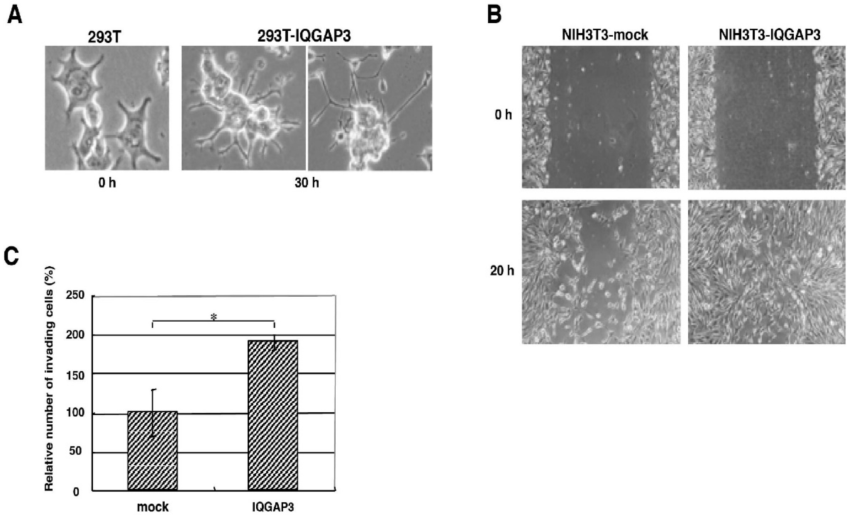Biomolecules 10 01194 g003 Biomolecules 10 01194 g003