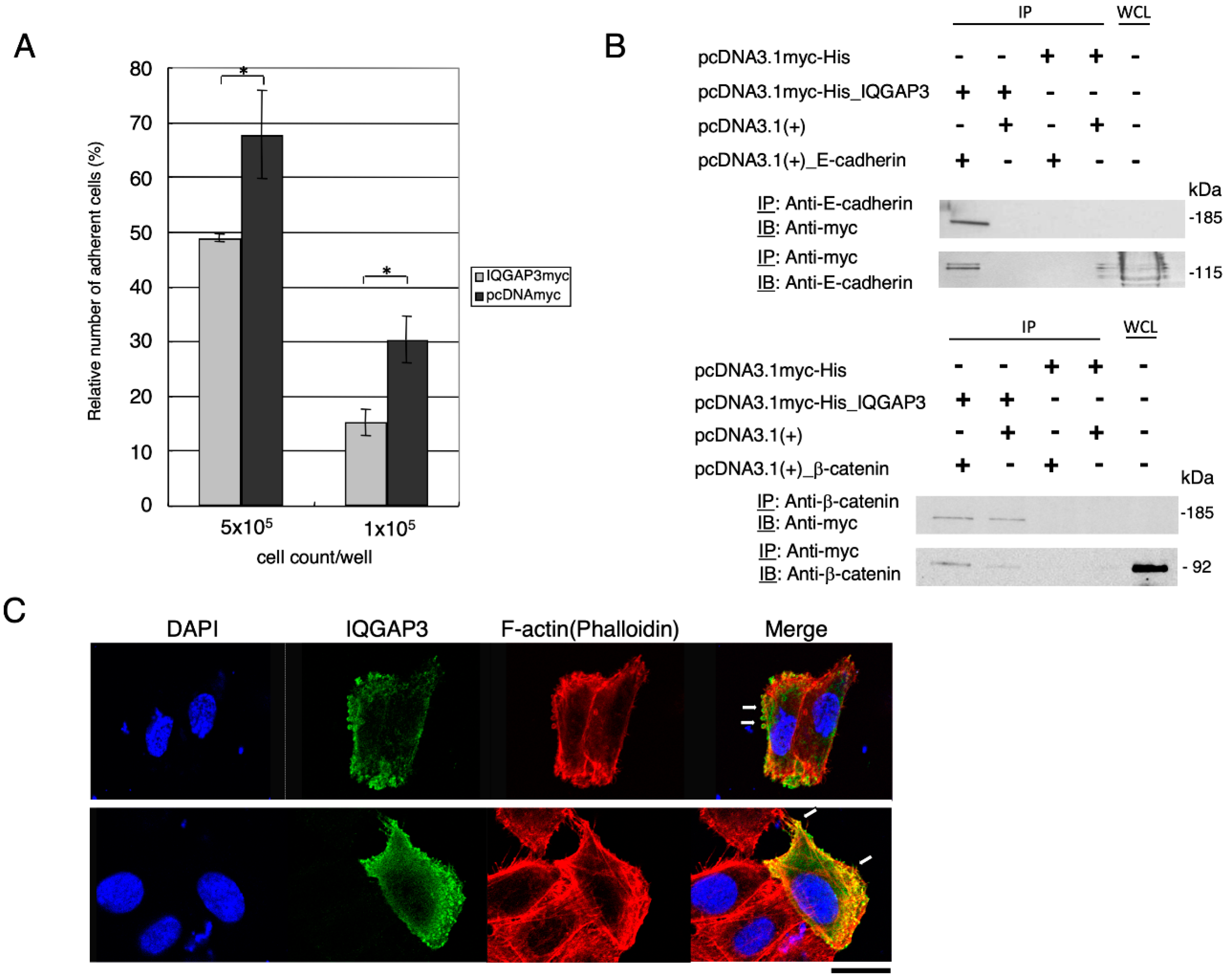 Biomolecules 10 01194 g004 Biomolecules 10 01194 g004